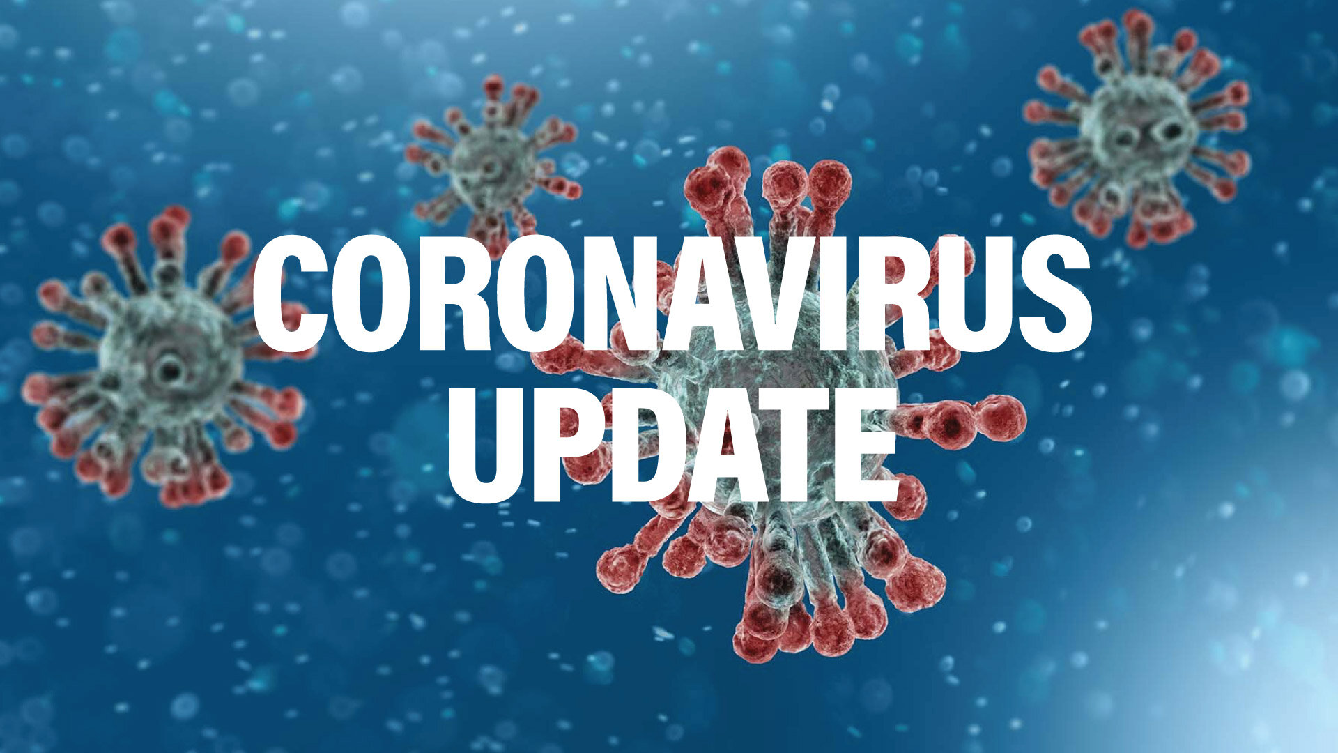 Covid-19 deaths set new record in L.A. County