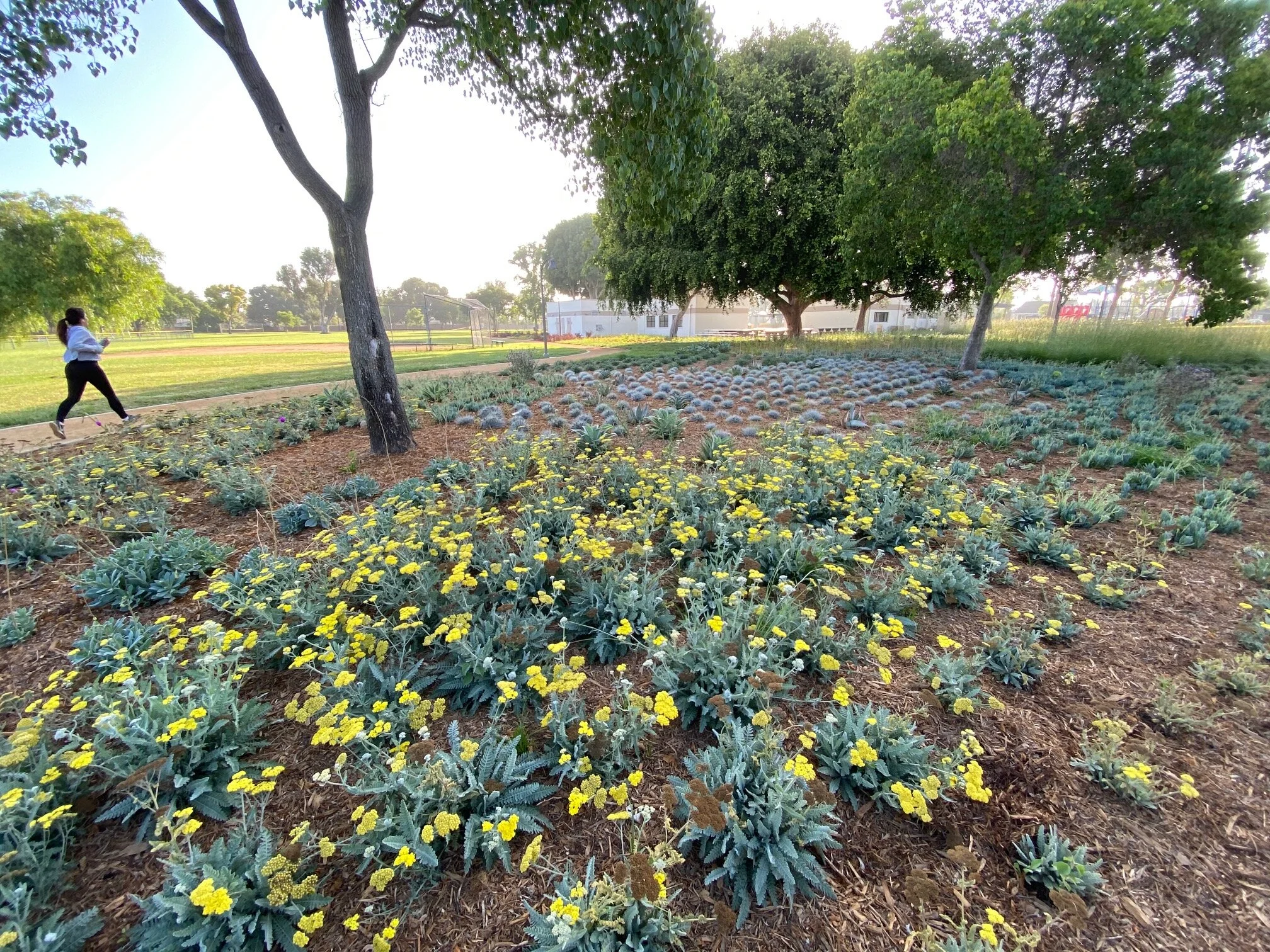 Historic renovations of Downey parks nearly complete
