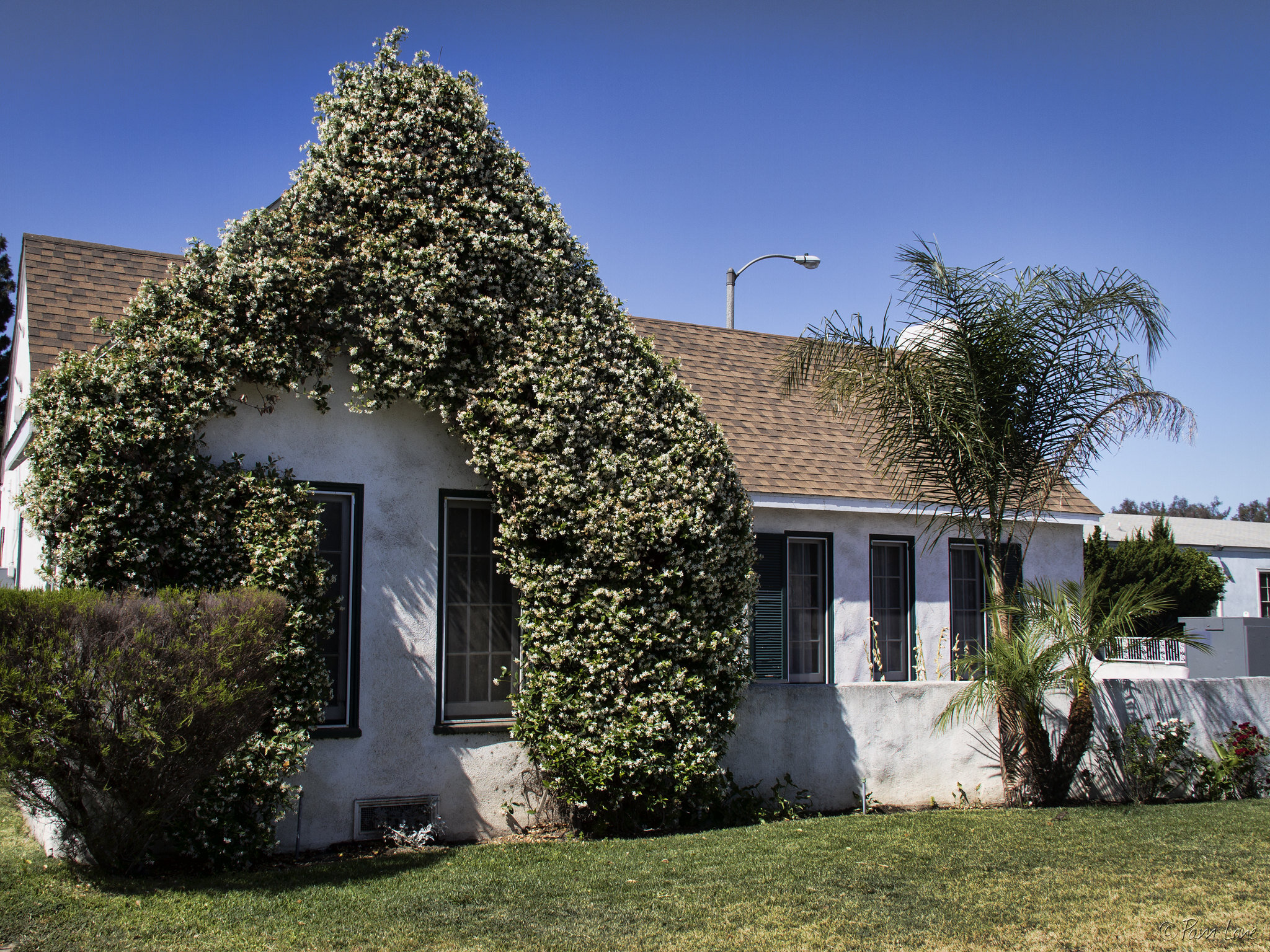 Downey property values grow by 5.3%