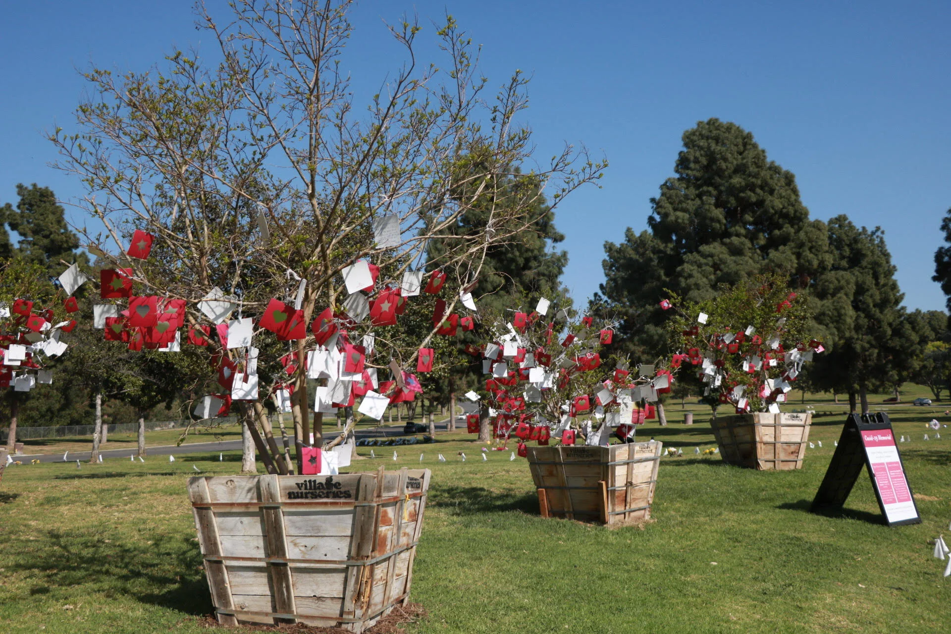 PHOTOS: COVID-19 Memorial at Rose Hills
