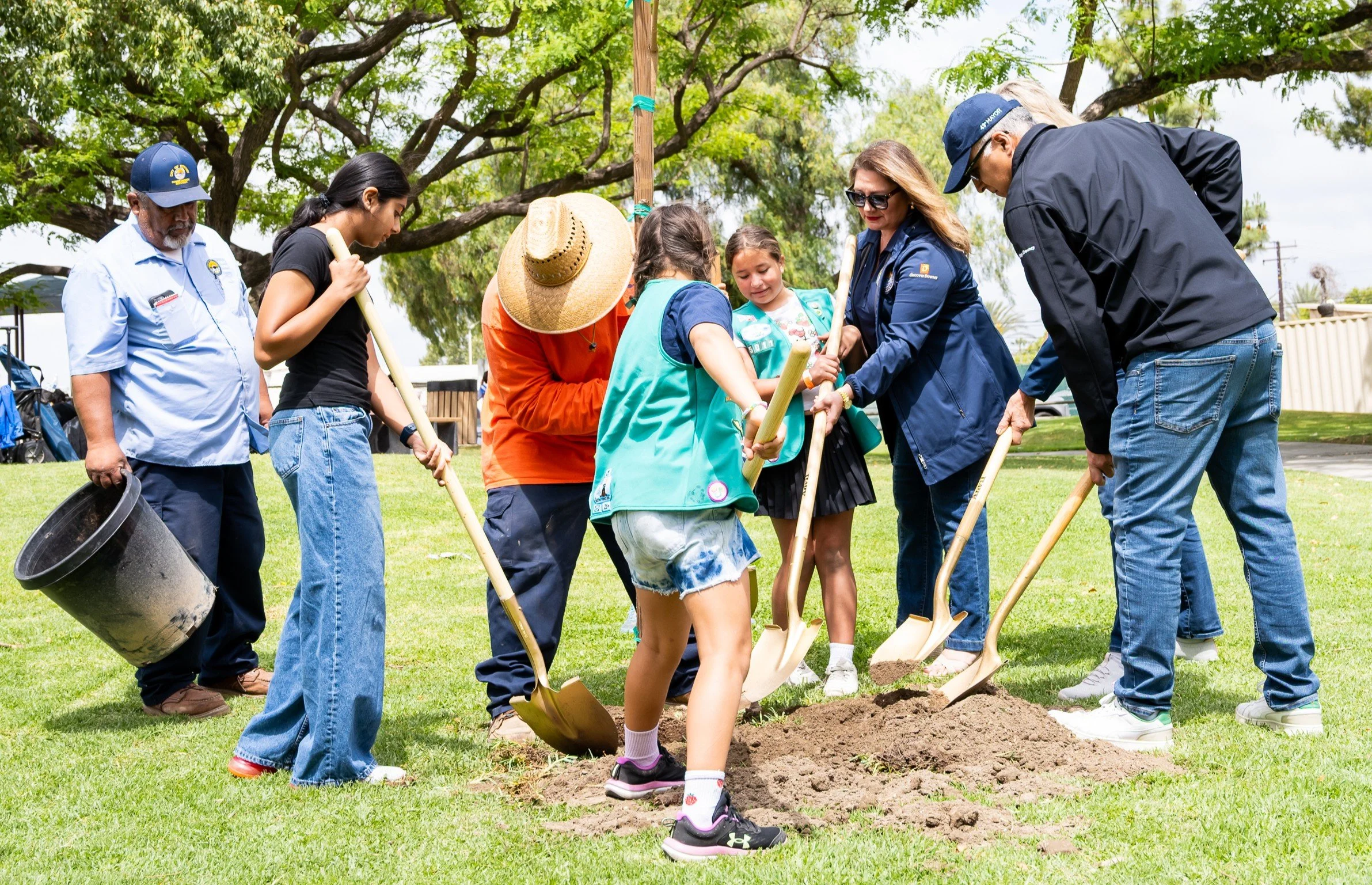 Sosa calls for comprehensive tree plan in Downey