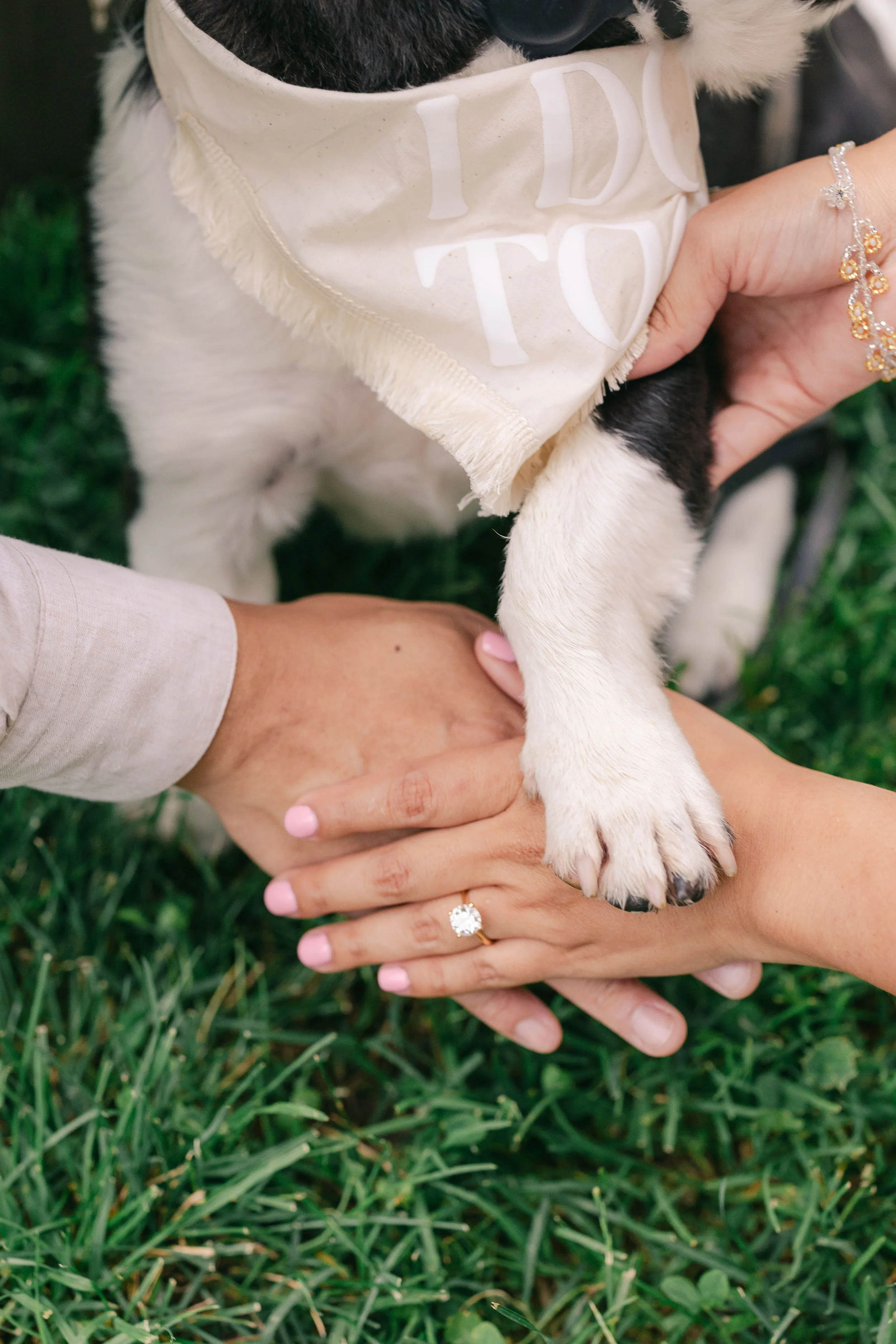 Alexia+Andrew_Engagement-HL-41.jpg