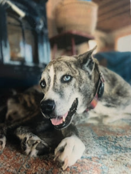 Ruca &amp; The Other Gasners Return To Block Island