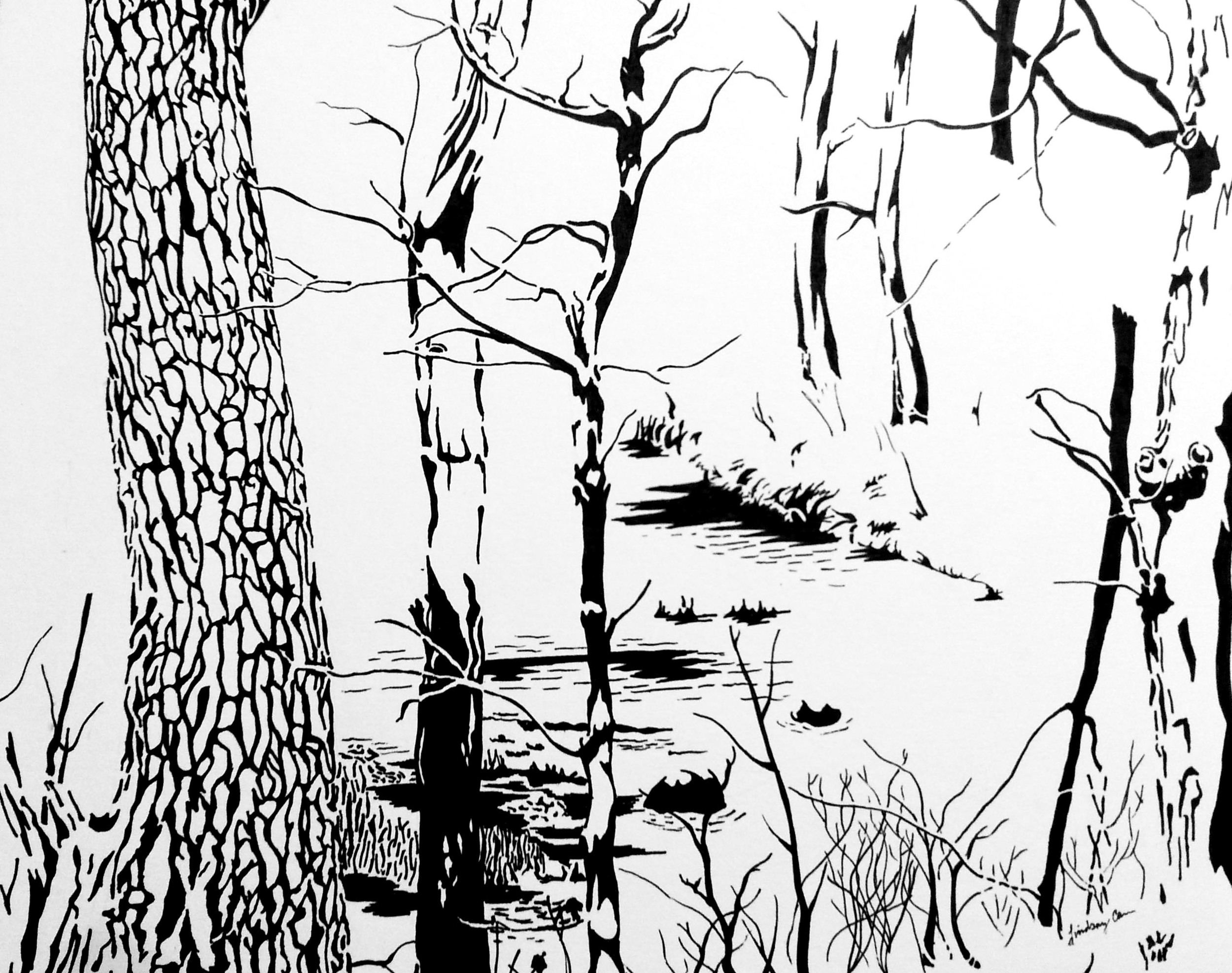 trees_corrected.jpg