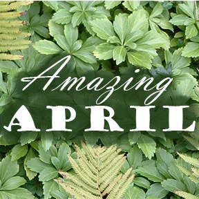 Amazing April 2015