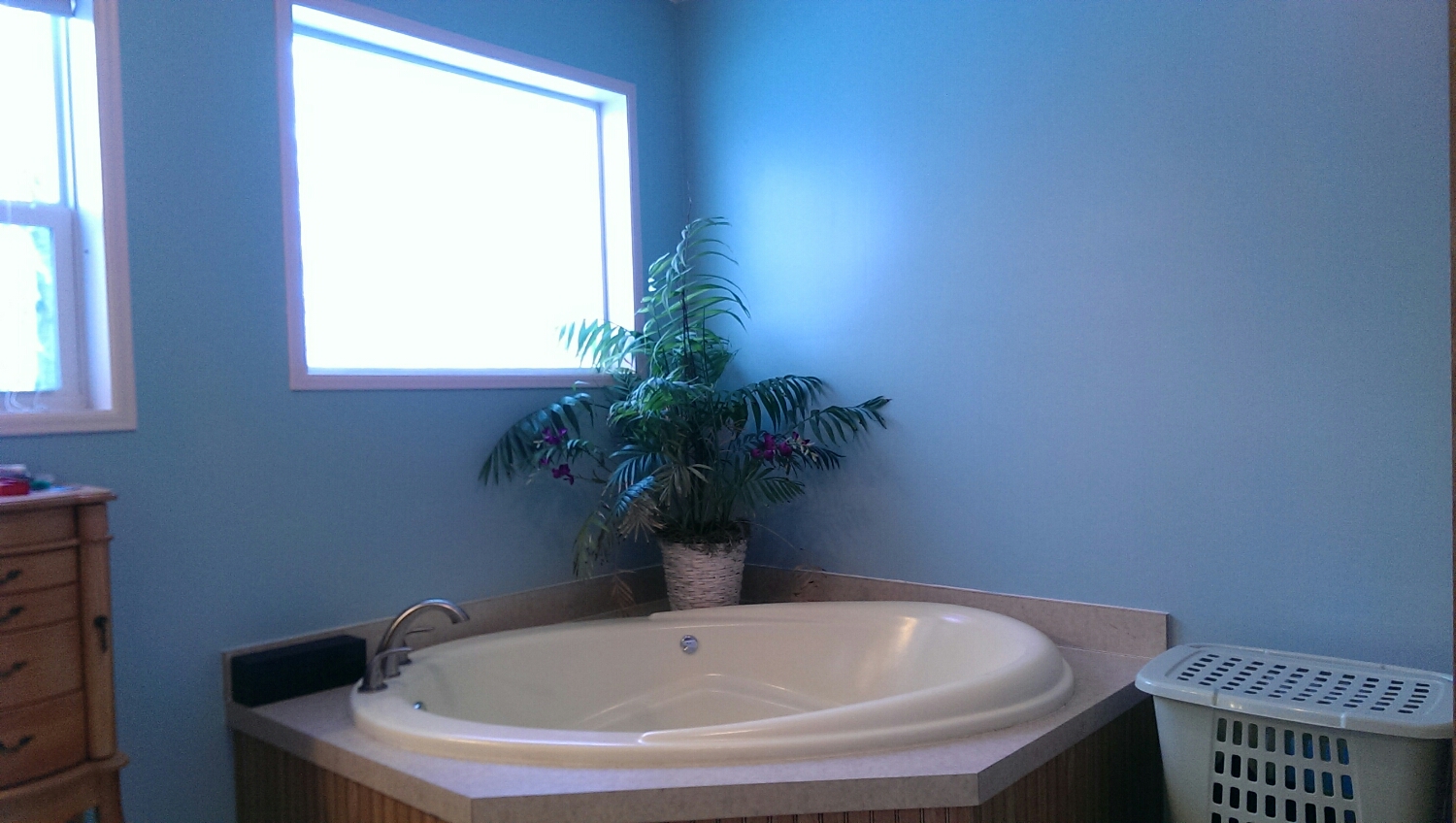 I painted the window trim and sills tan over the white paint that seems to have infected every surface.