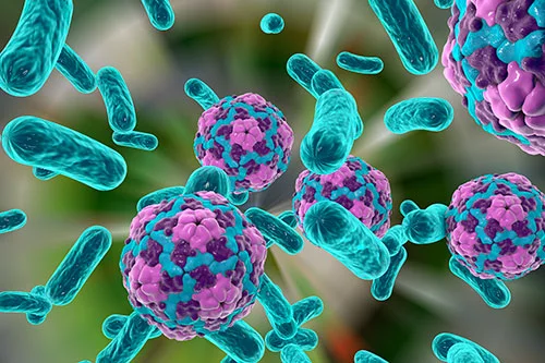 hepatitis-a-small_0.jpg