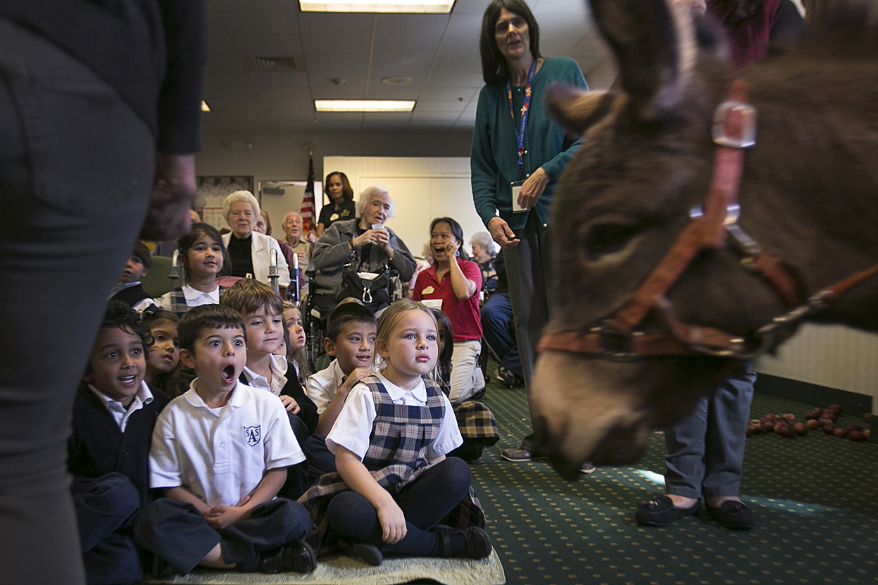 School children react to a donkey brought into a live nativity scene inside a nursing and rehabilitation center.