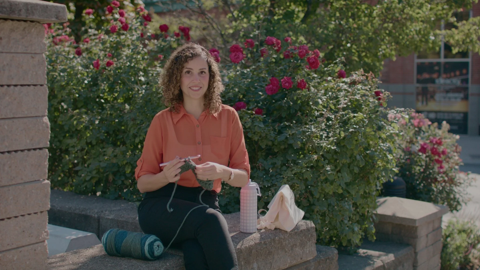 Spinrite Yarn - "Why I Stitch" (2025)