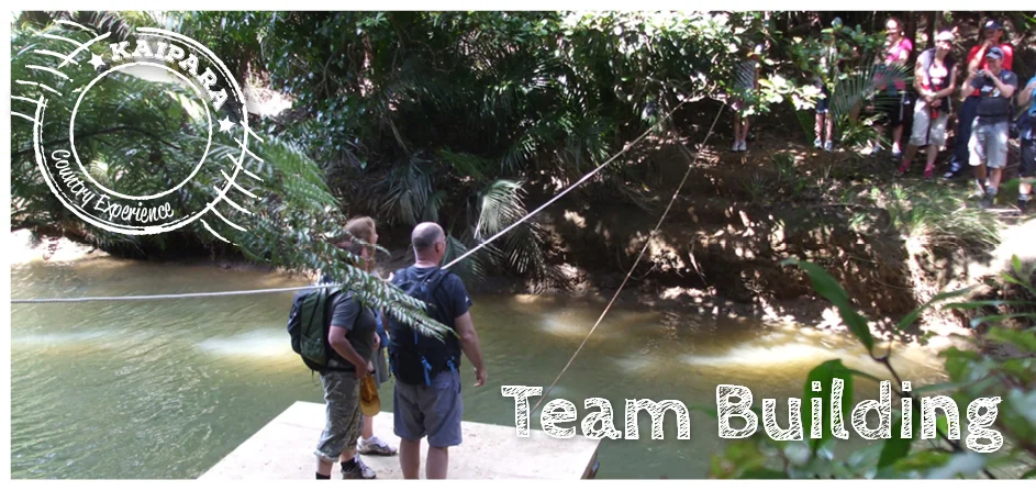 teambuilding.jpg