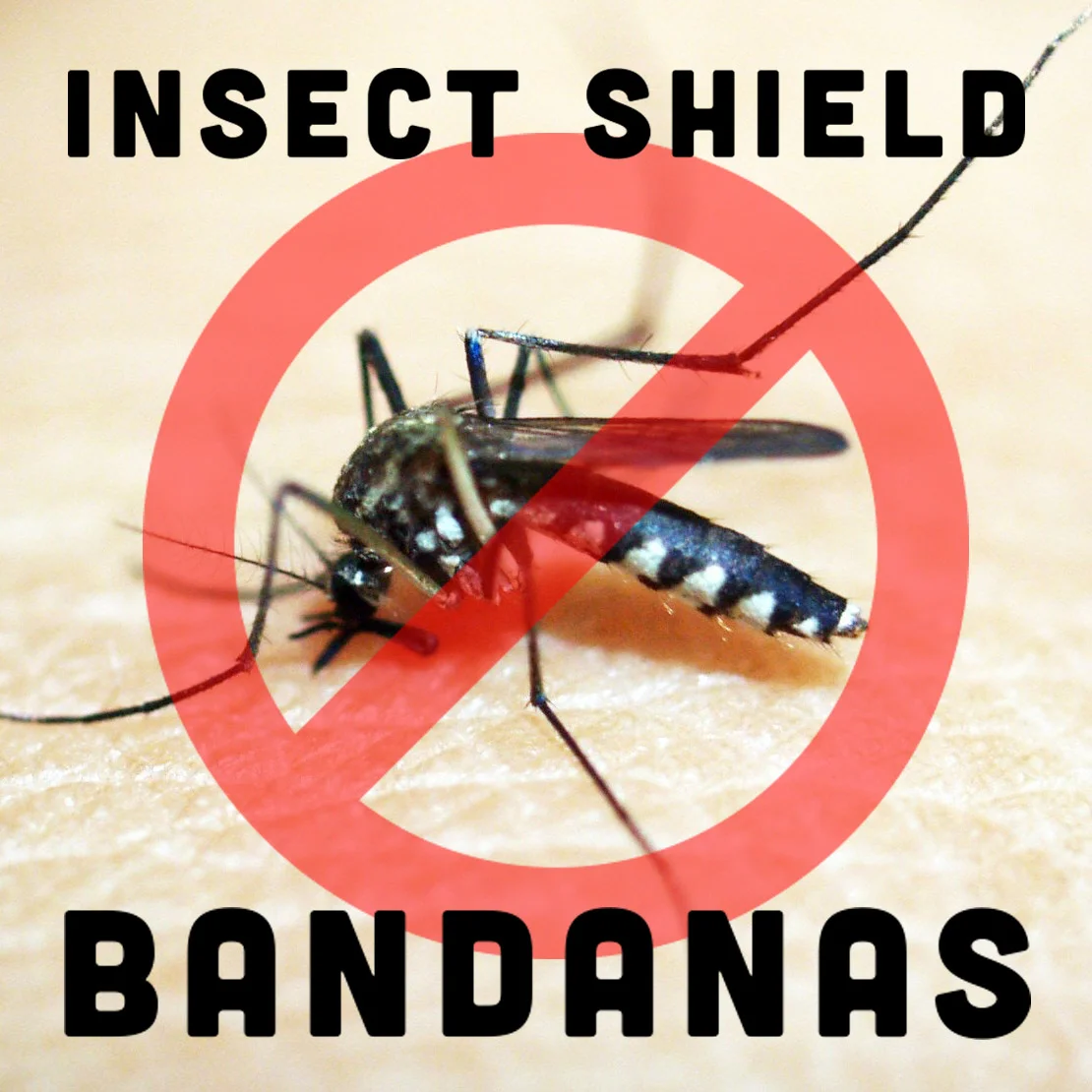 mosquito_insect shield_2.jpg