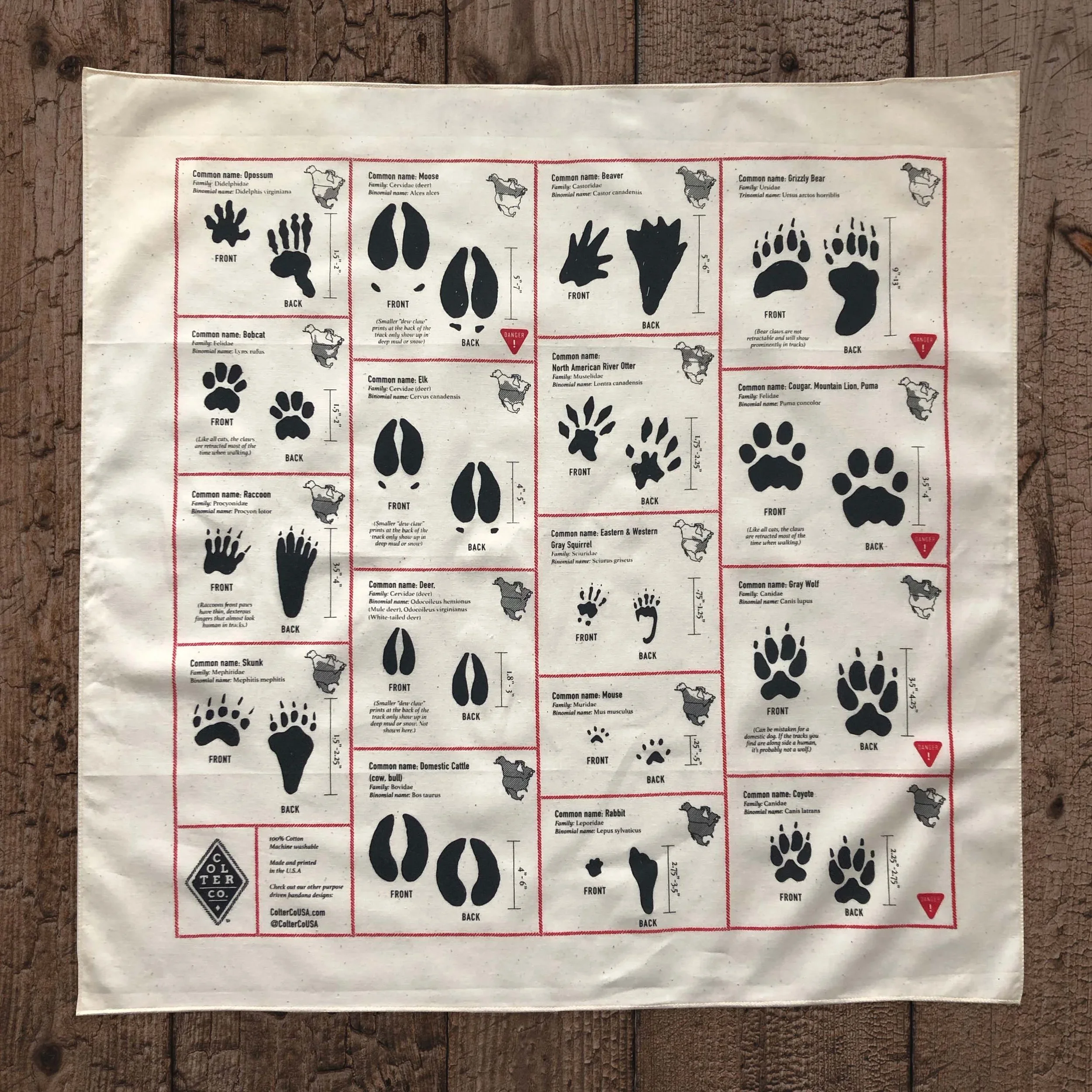 animal+tracks-2.webp