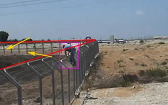 Analytics and trip lines