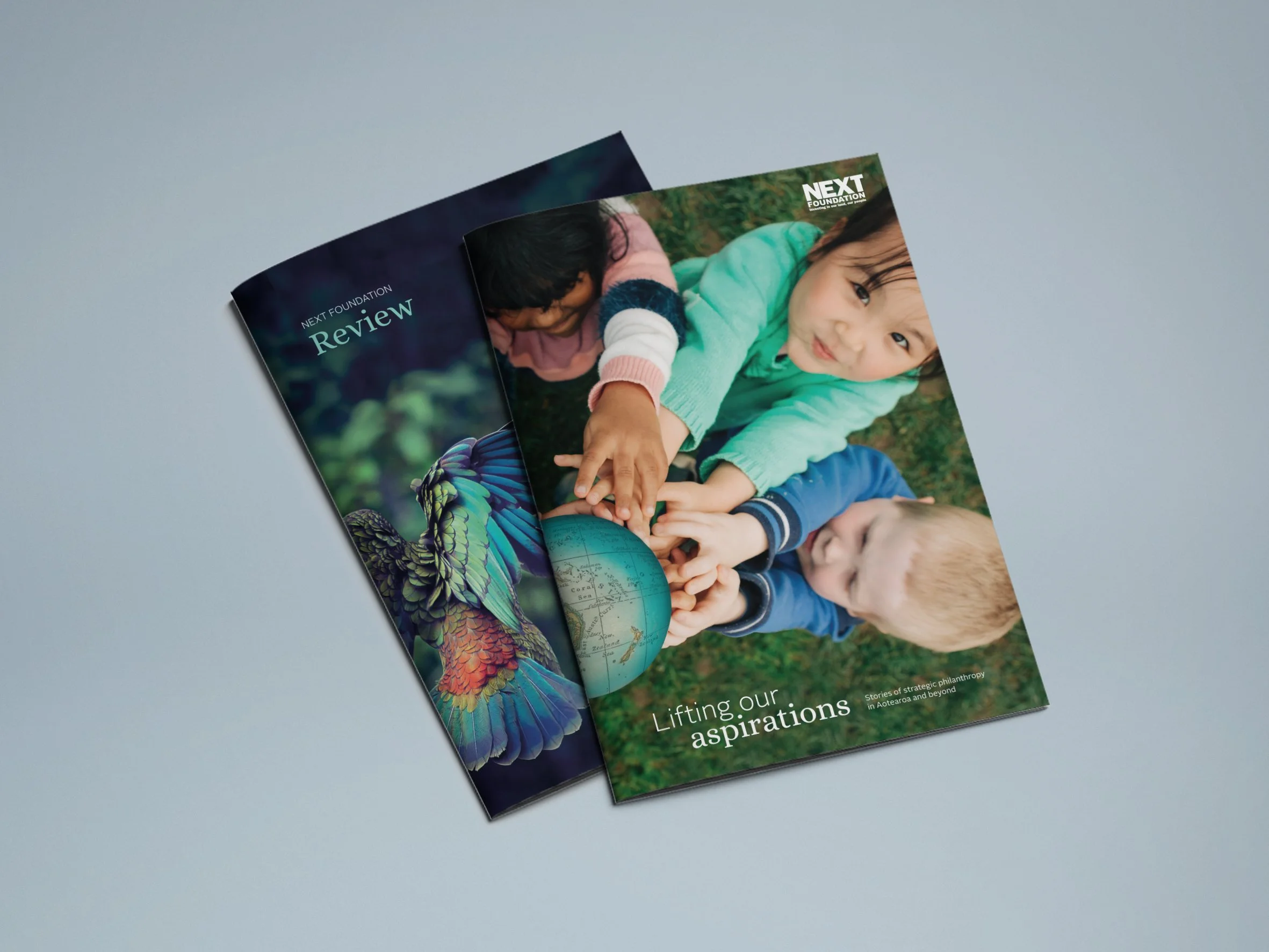NF_Review Covers copy.jpg