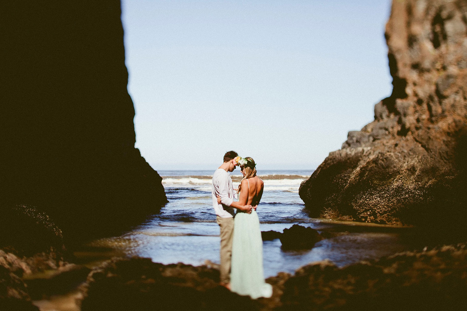 Daily Update - January 20th