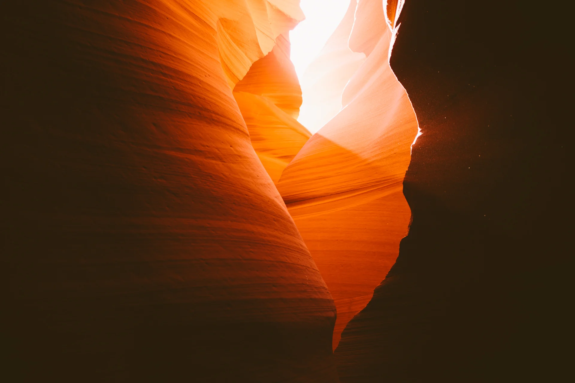 Image of the Week #4: Ryan Tuttle