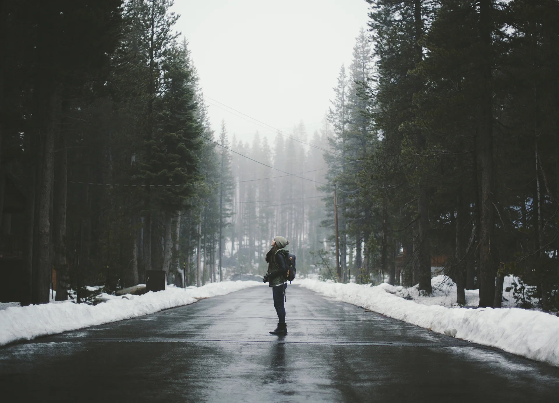 Daily Update - January 21st