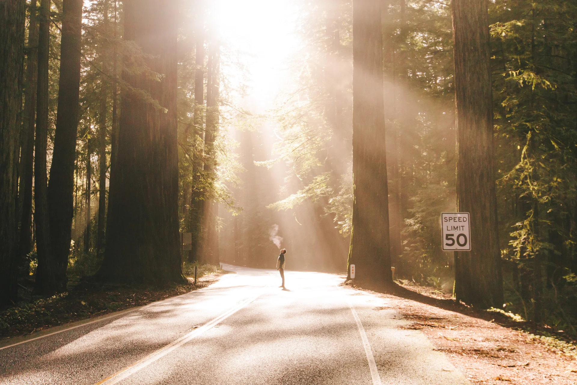 Daily Update - January 24th