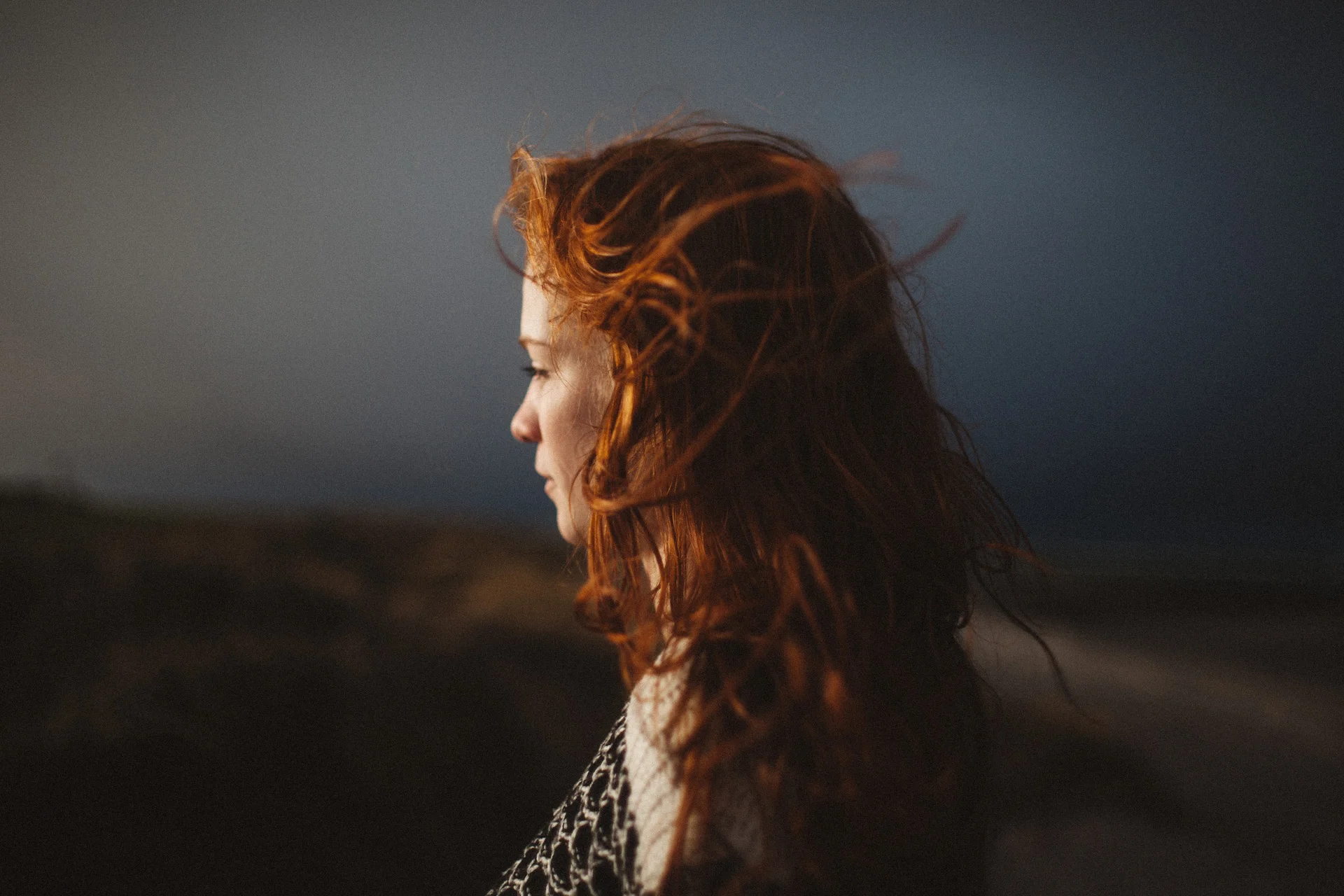 Daily Update - January 26th