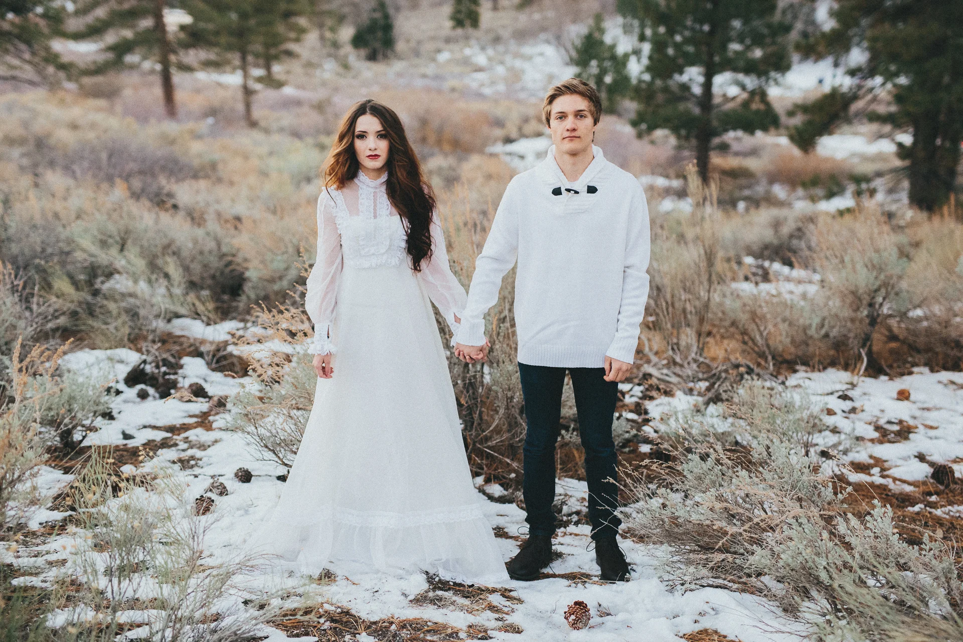 Daily Update - January 27th