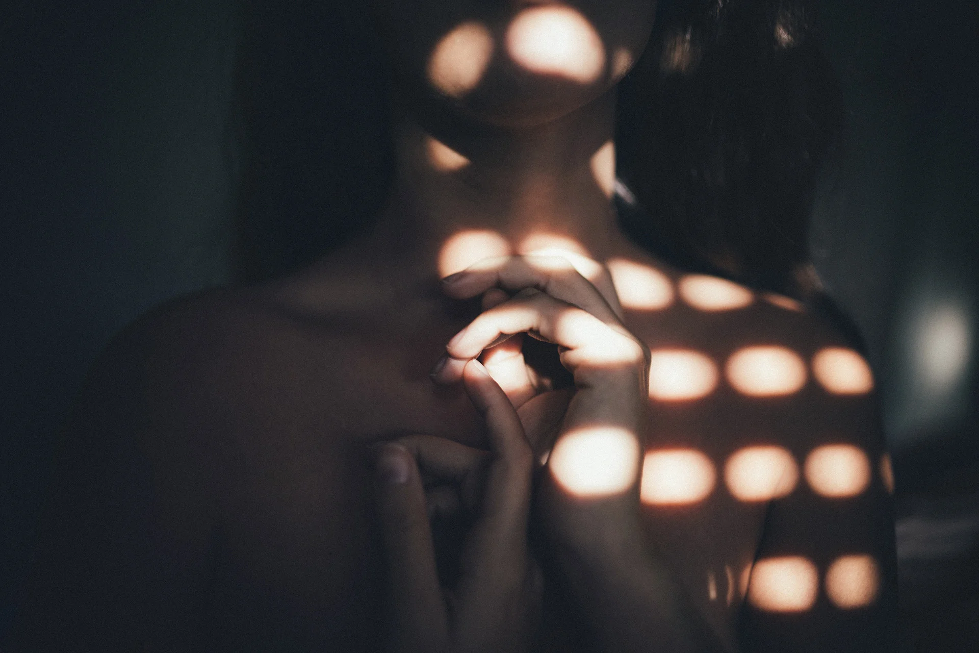 Daily Update - February 12th