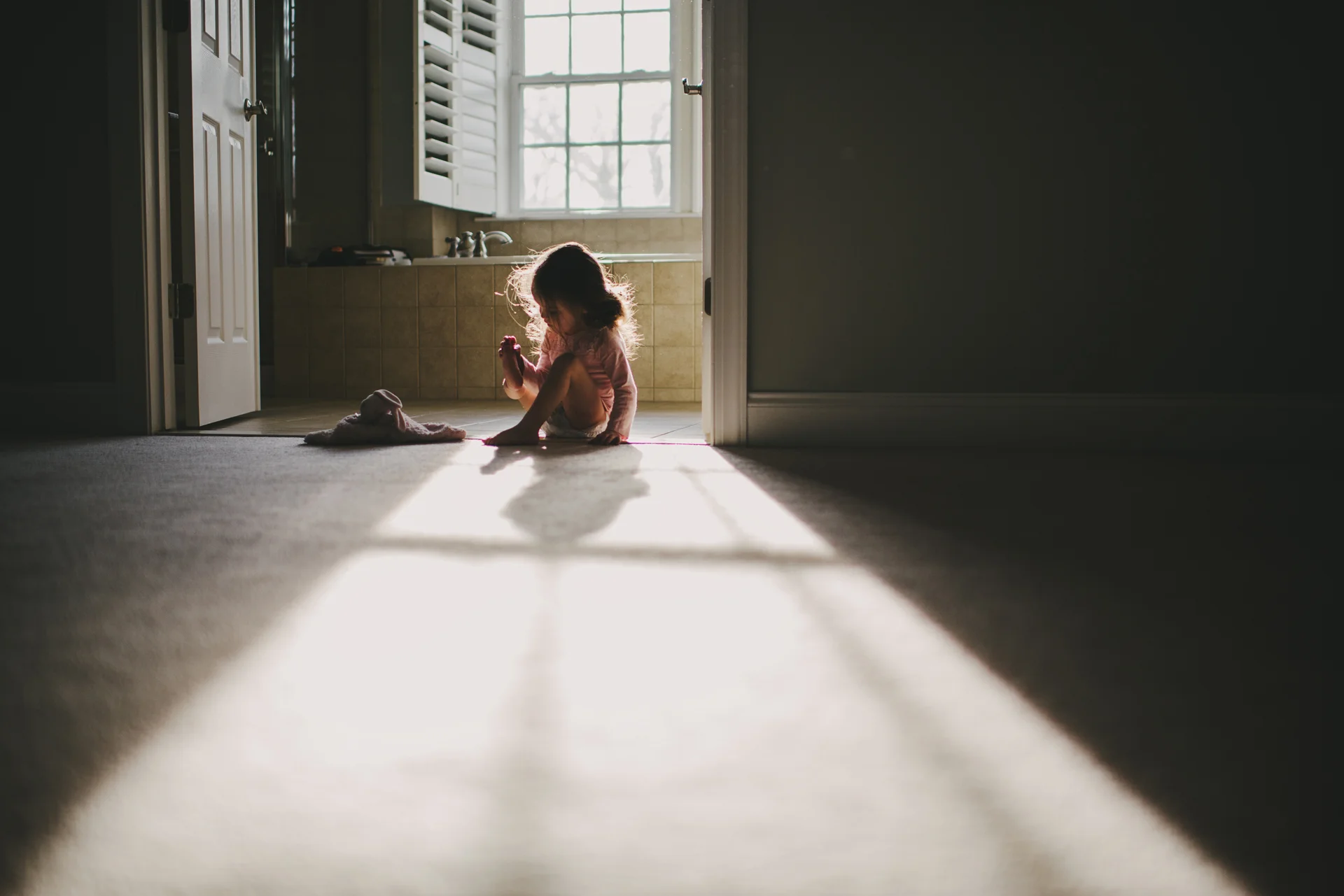 Daily Update - February 13th