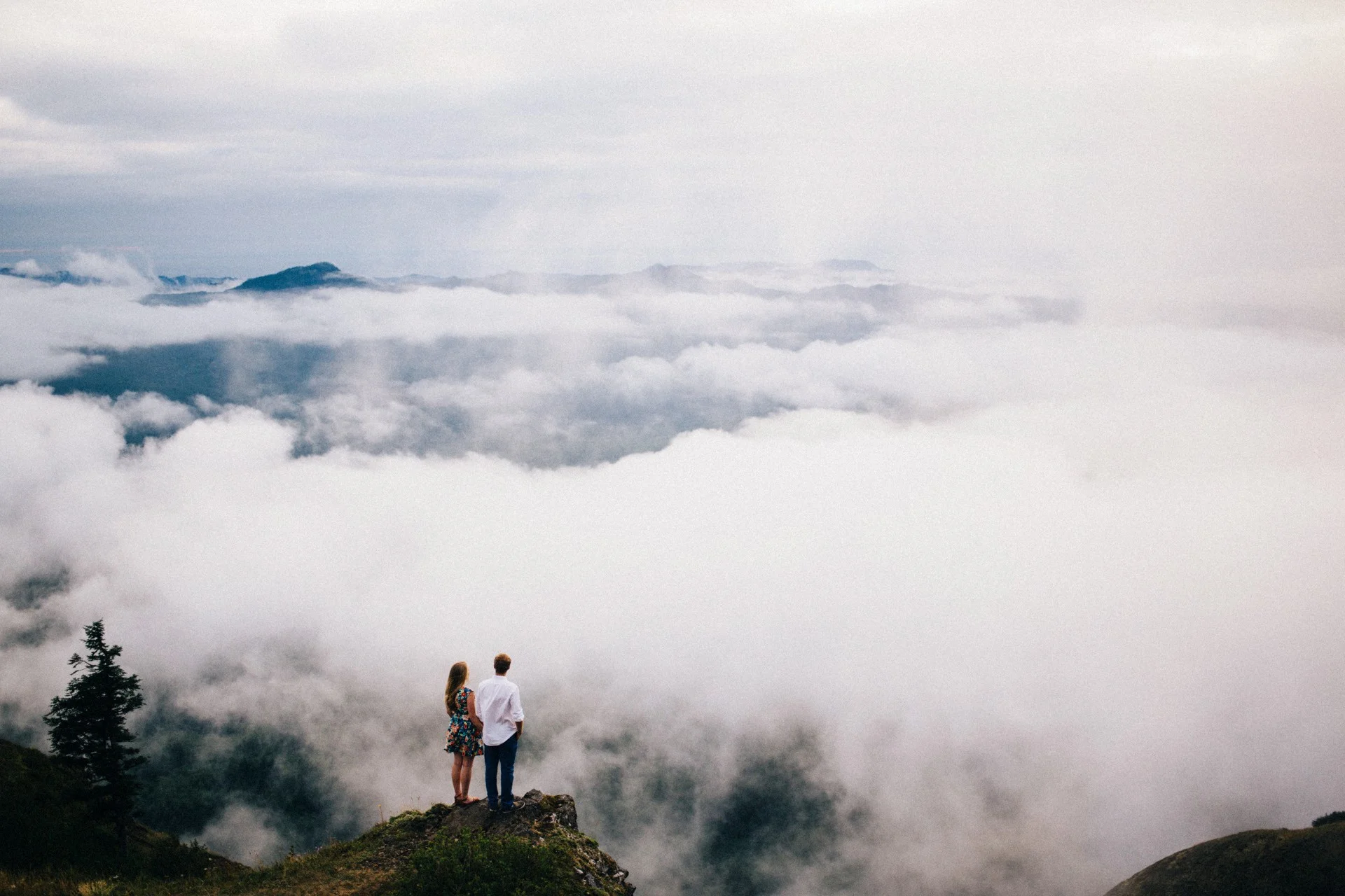 Daily Update - February 16th