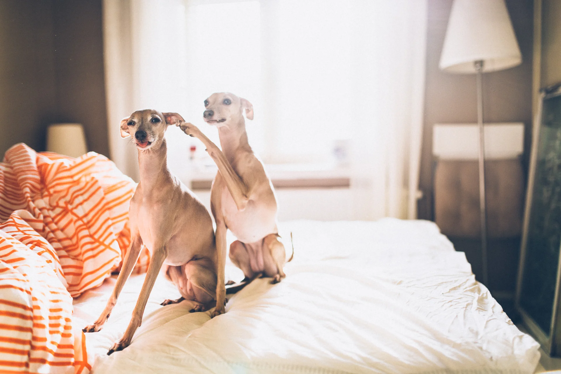 Daily Update - March 17th