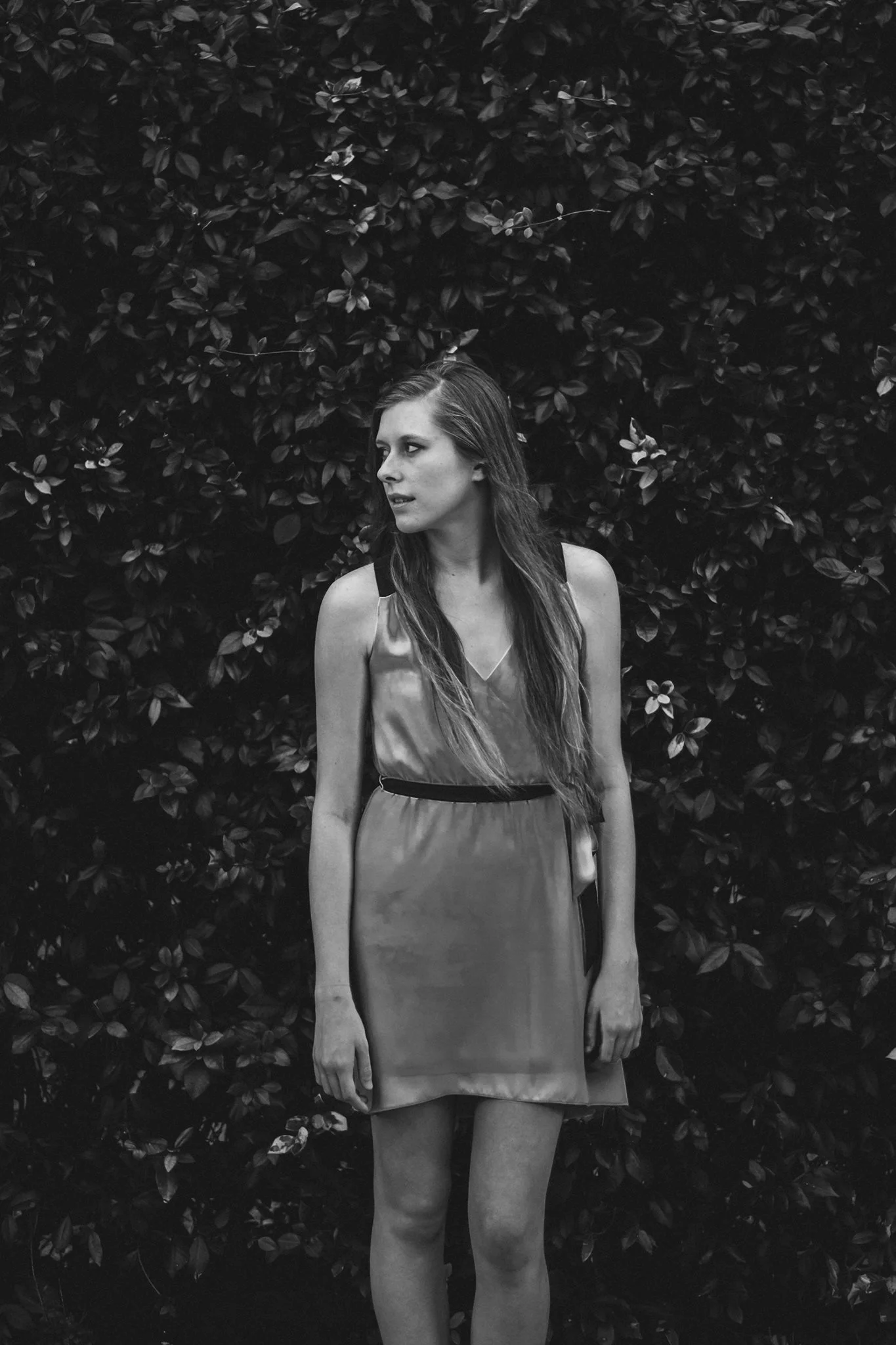 Let's Edit - Fuji 3000b