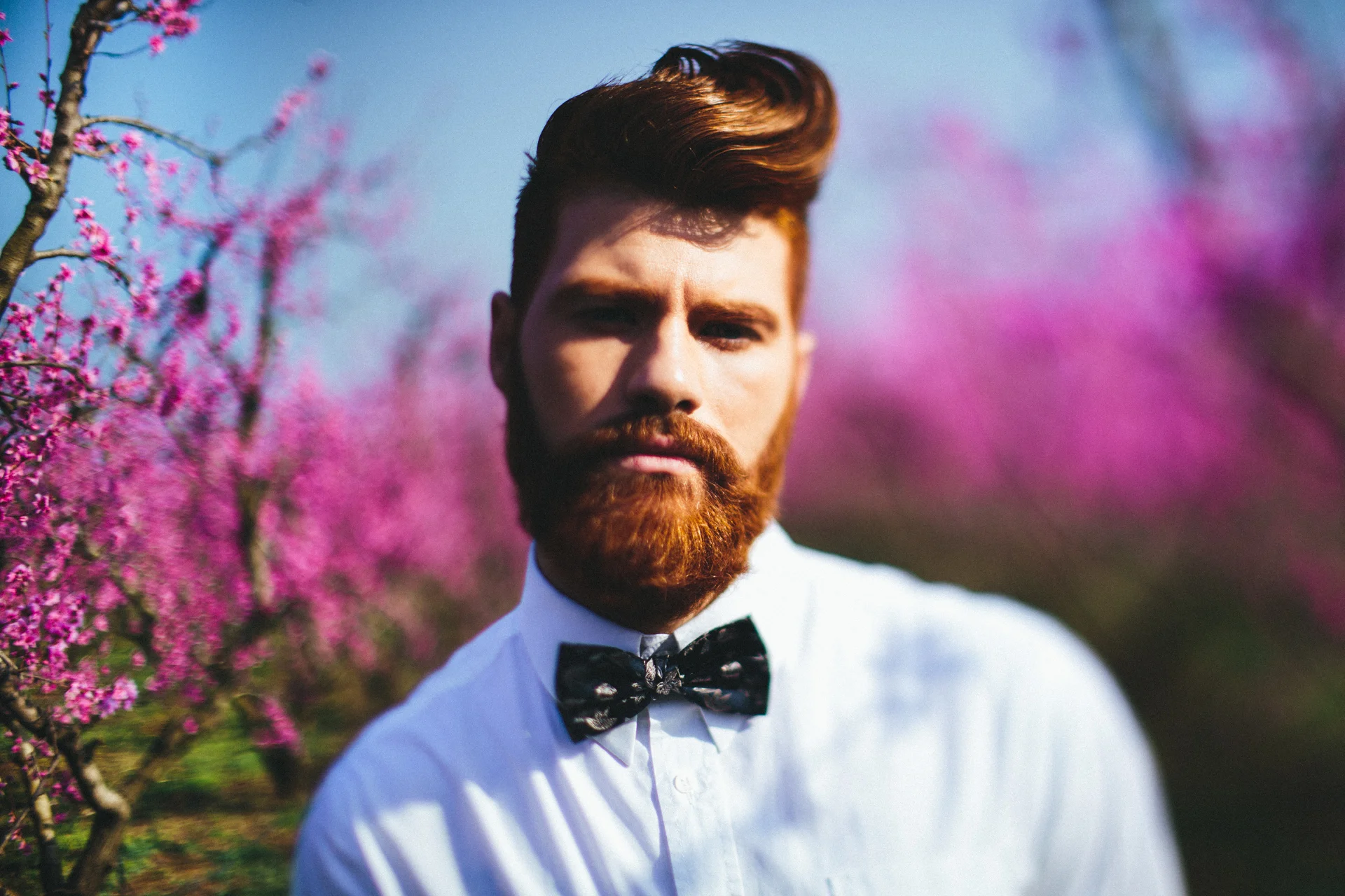 Daily Update - April 24th