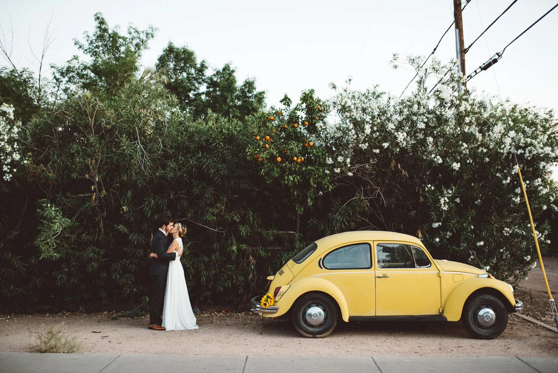 Daily Update - April 25th