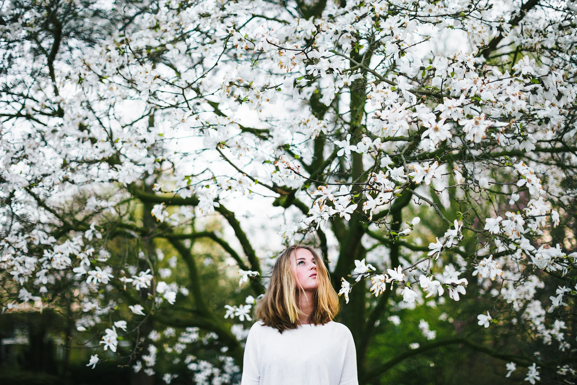 Daily Update - April 27th