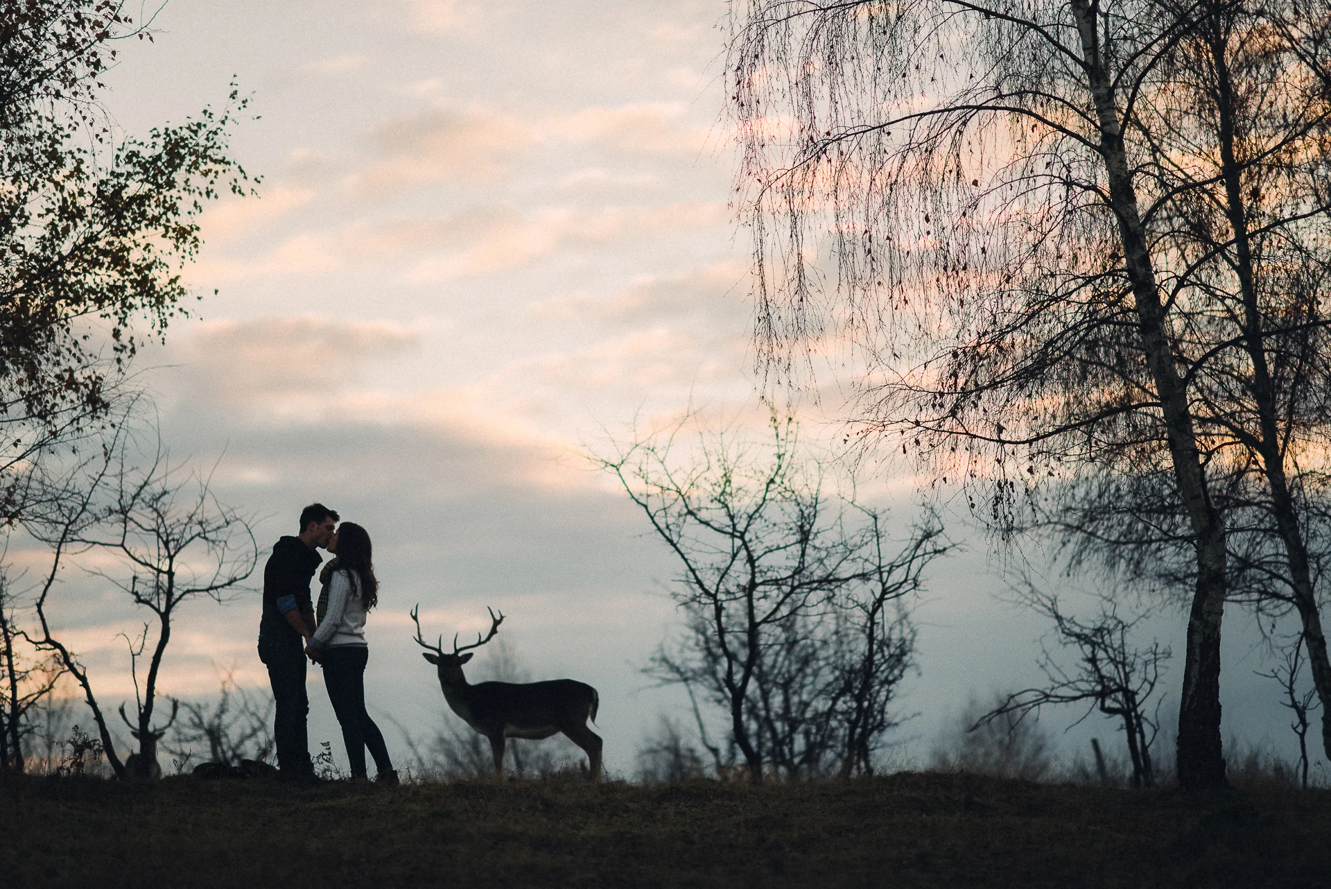 10 Questions: Dana and George