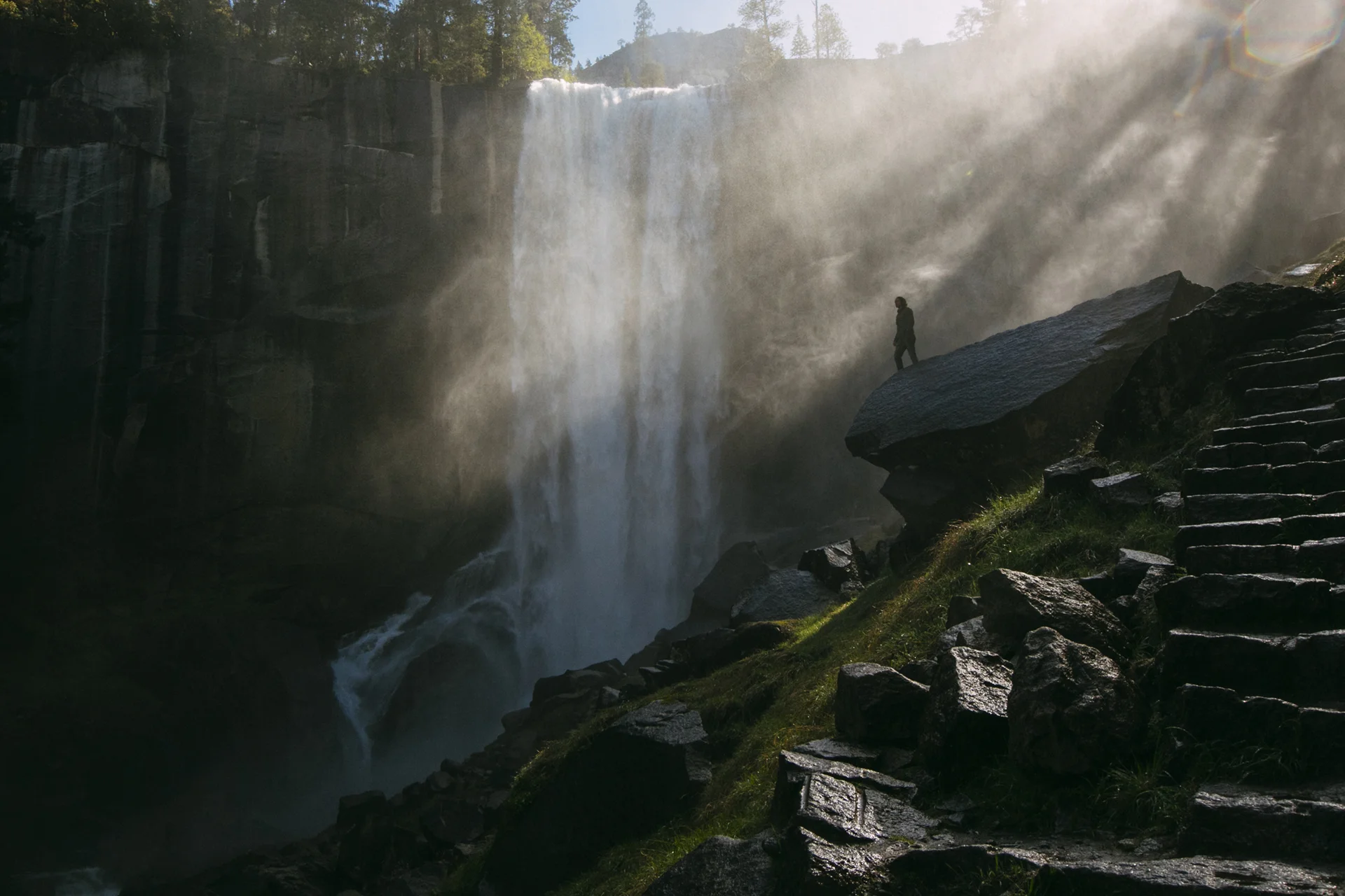 Daily Update - May 16th