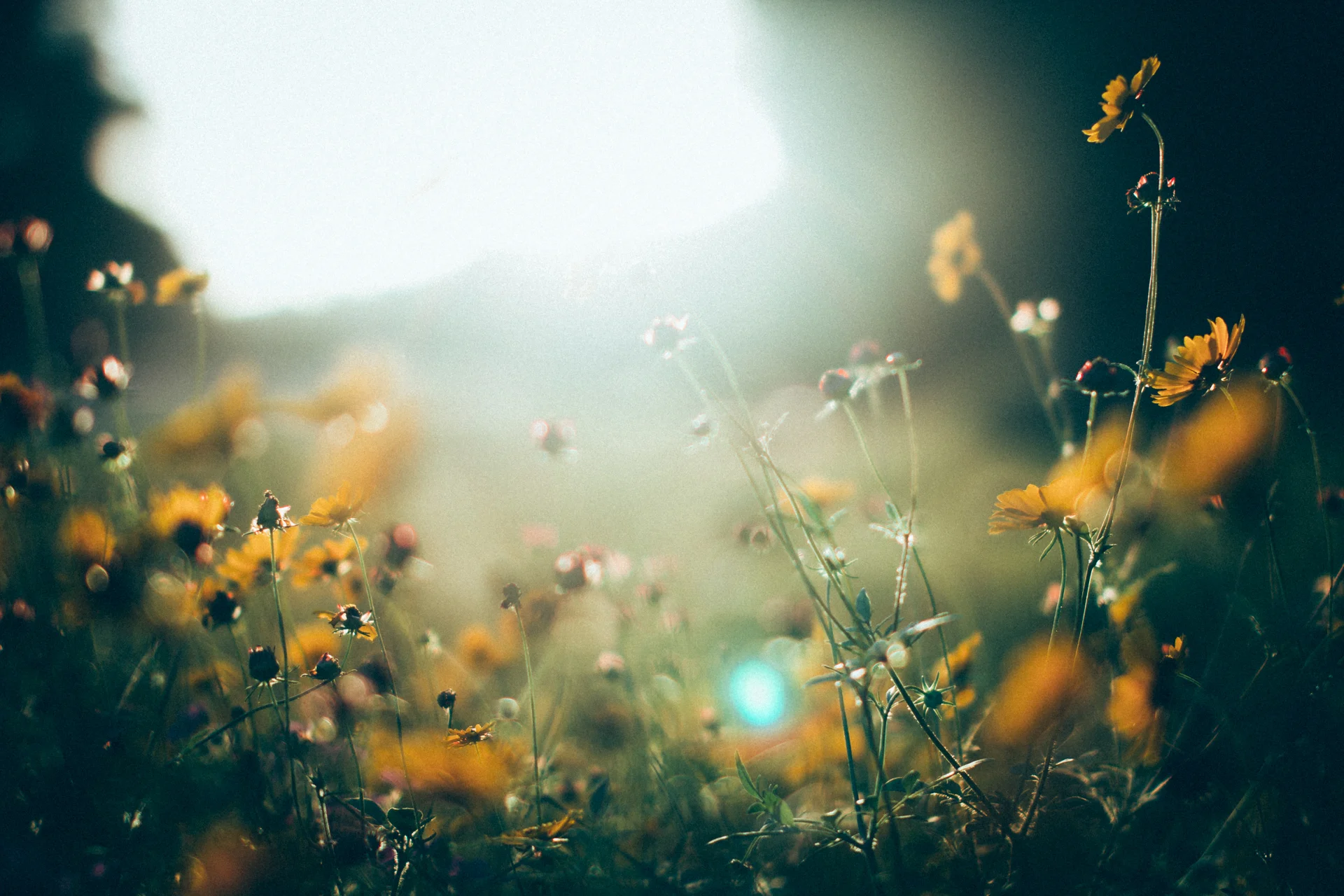 Kayla Surico - Kodak UltraMax 800 Cool + - www.kaylasurico.com