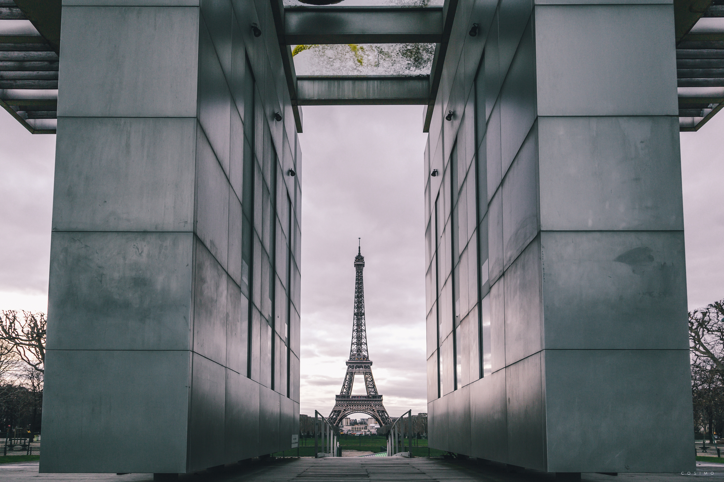 Jared Leopard - Kodak Portra 400 - www.cosimo.im 