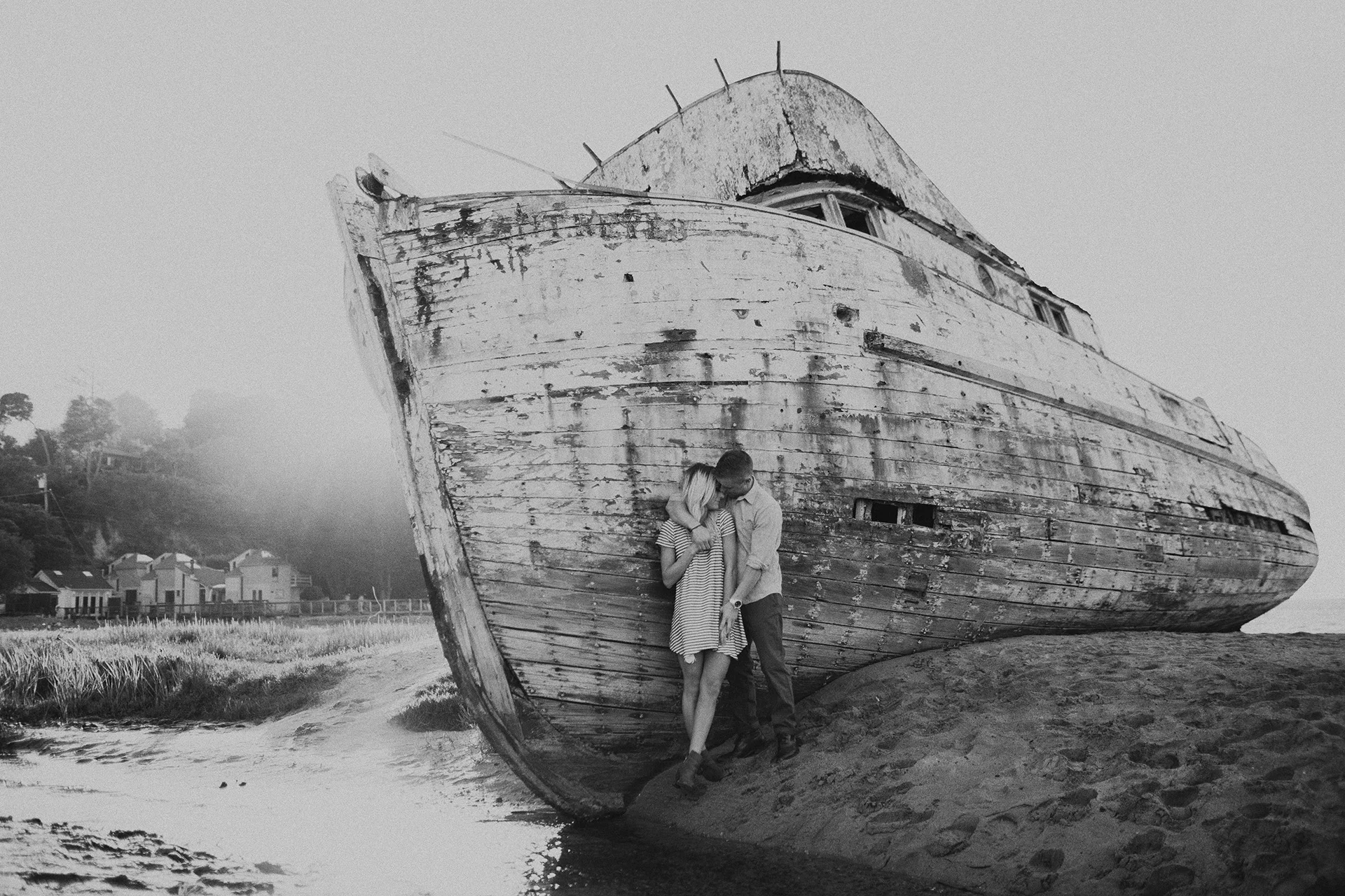 Daily Update - June 11th