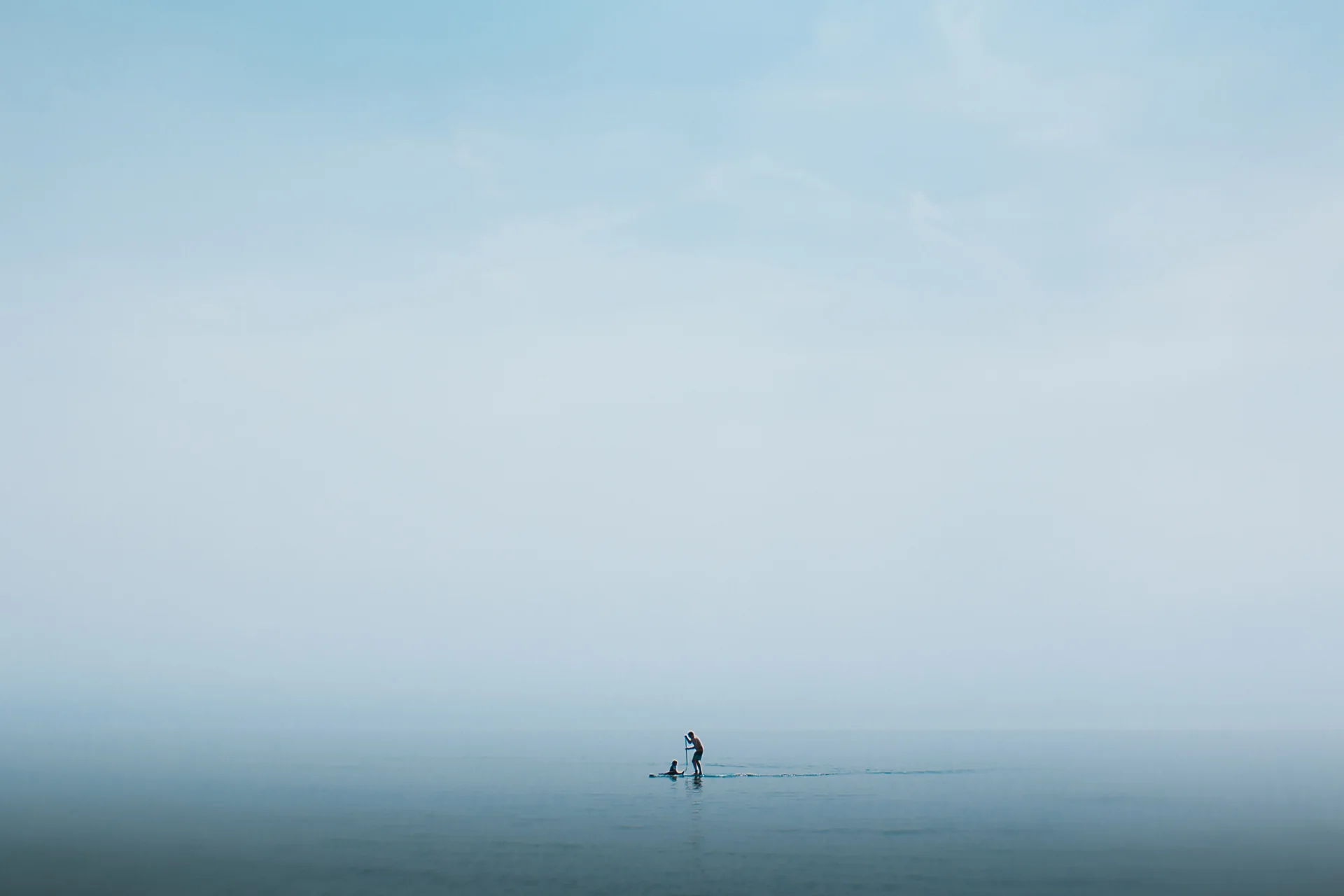 Daily Update - August 5th