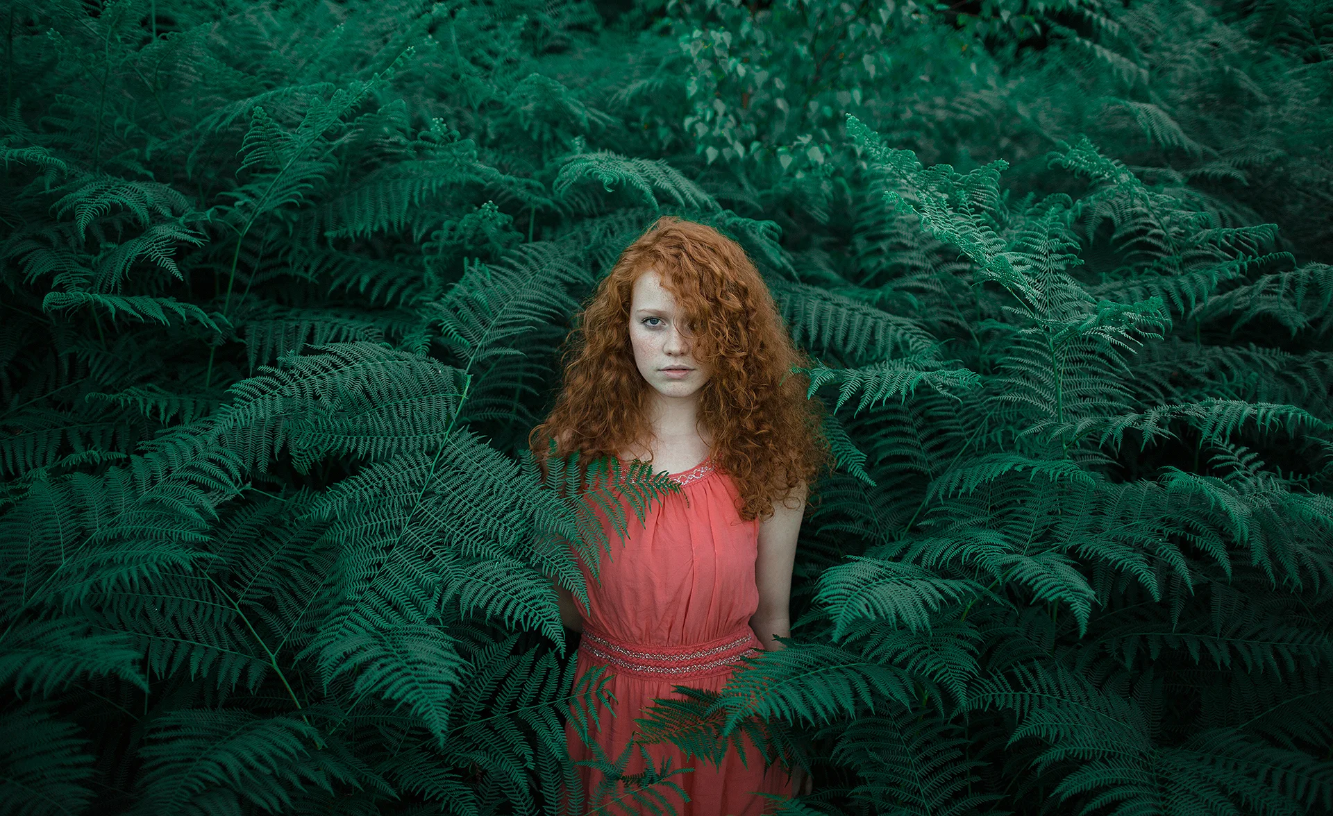 Daily Update - August 6th