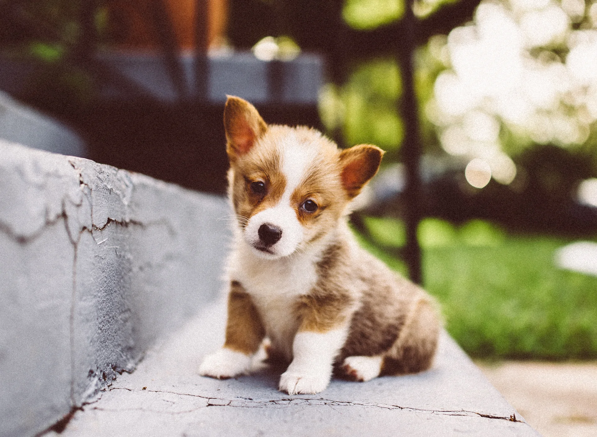 Daily Update - September 18th