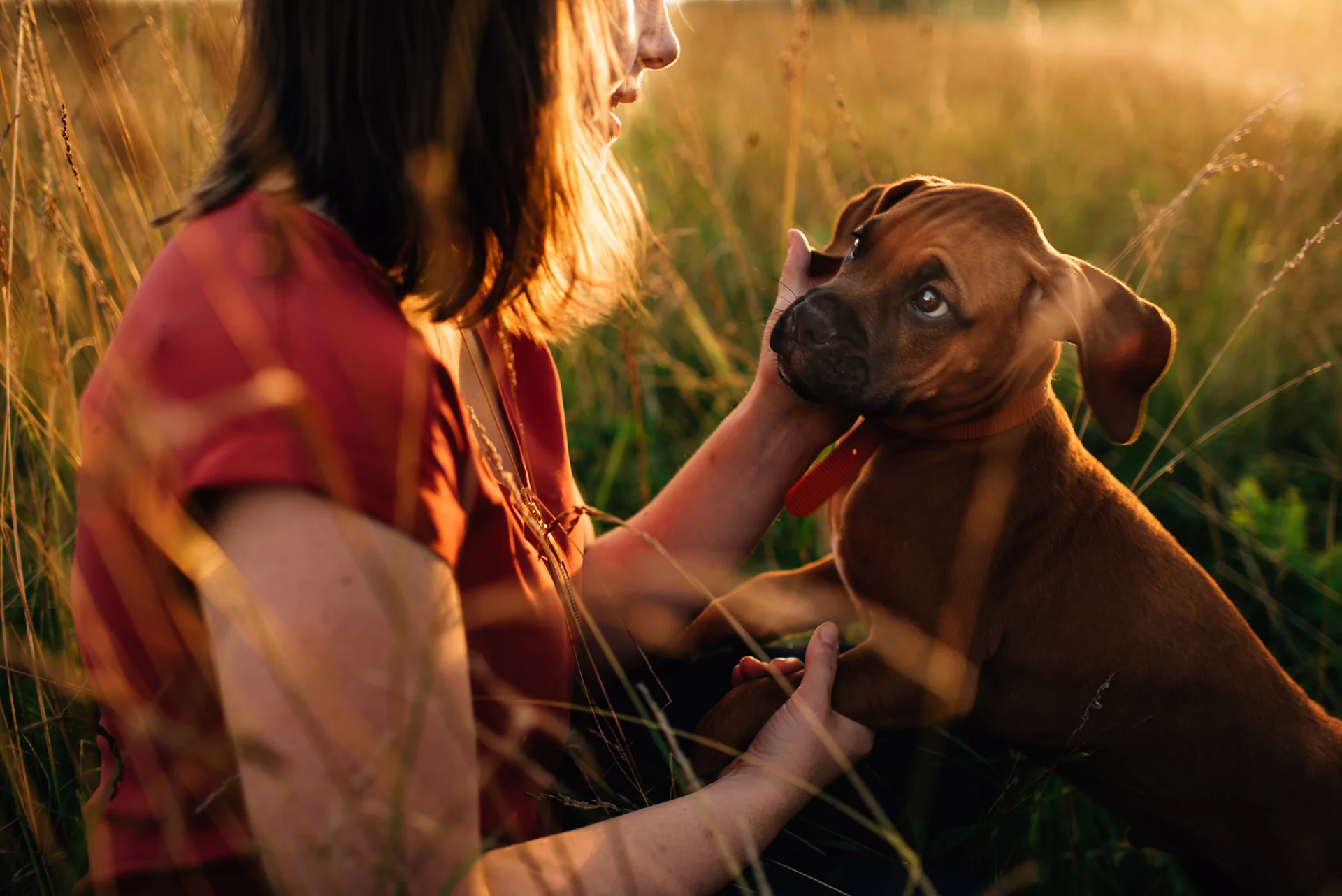 Daily Update - October 9th