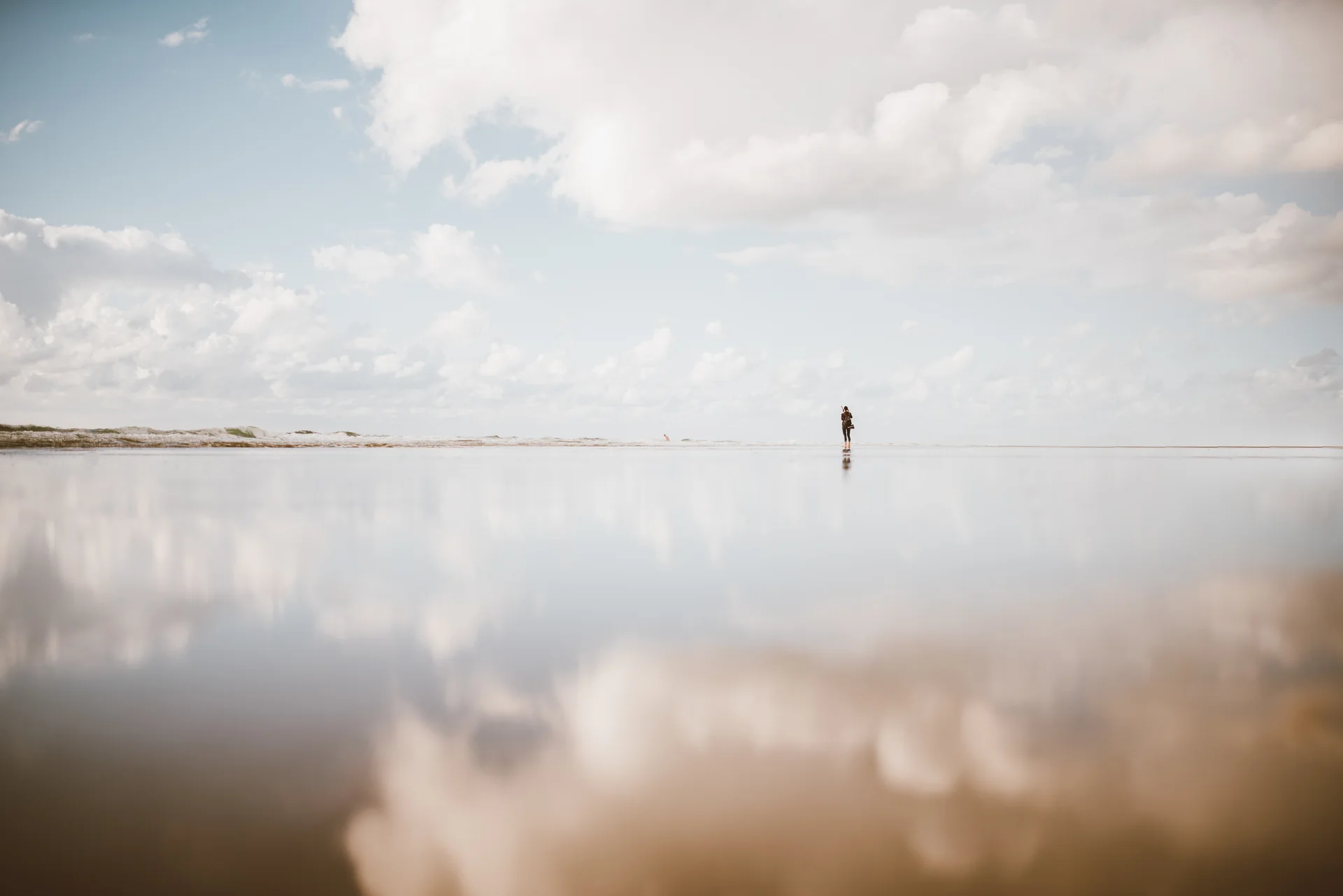 Daily Update - October 16th