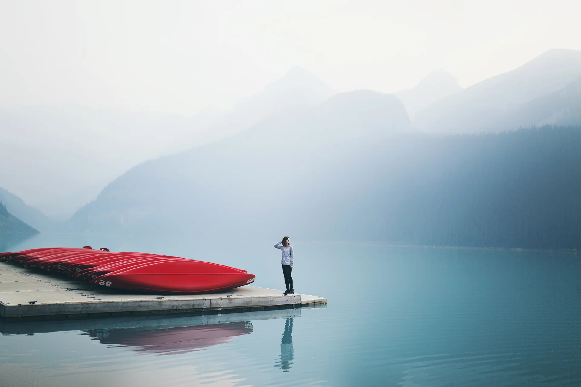 Daily Update - November 24th