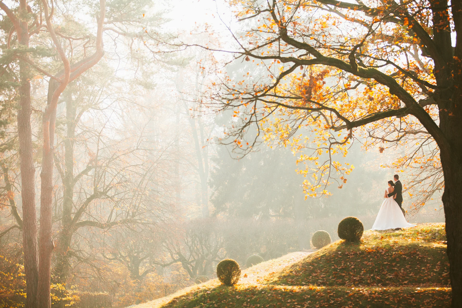 Michal - Agfa Vista 400+