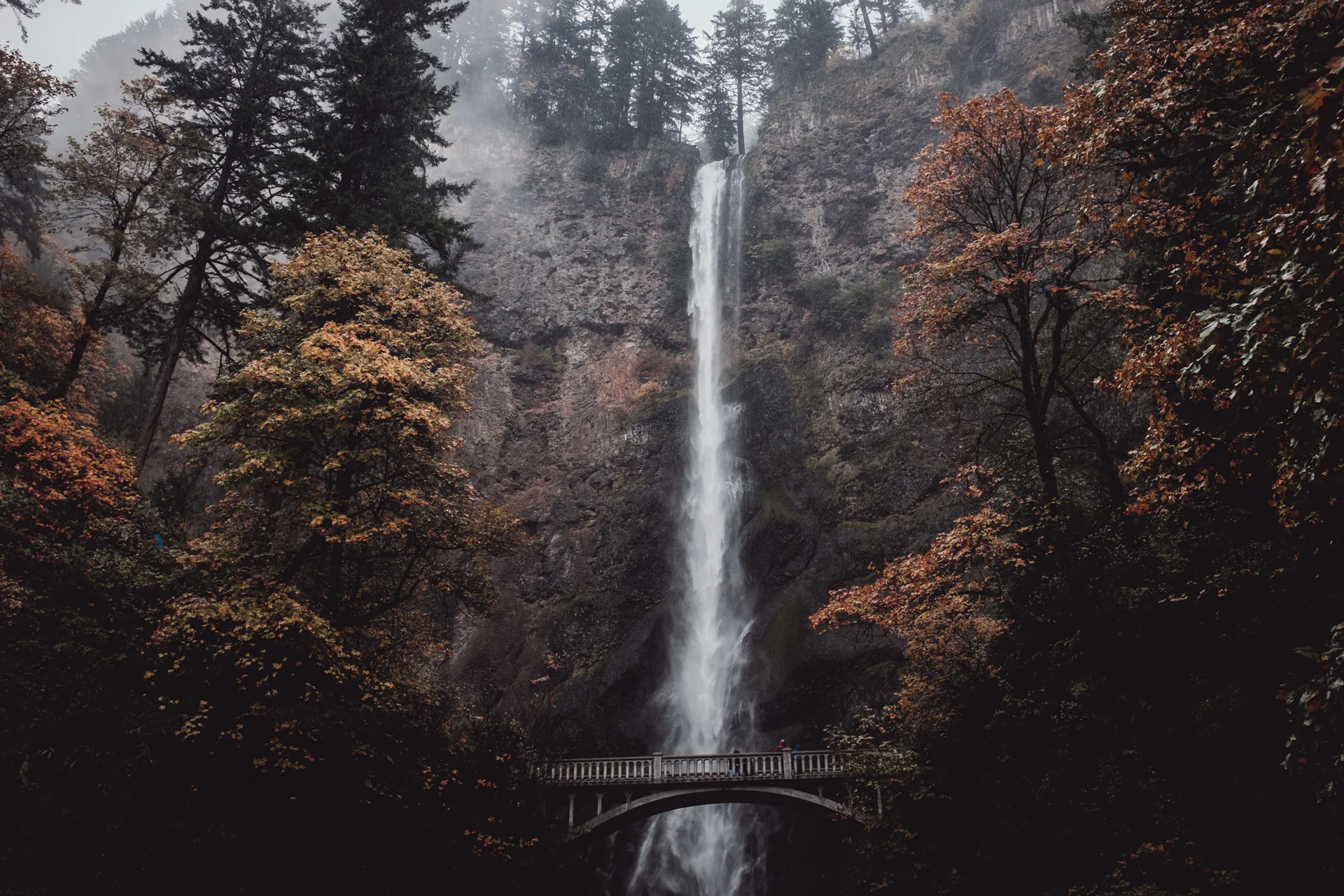 Daily Update - December 31st