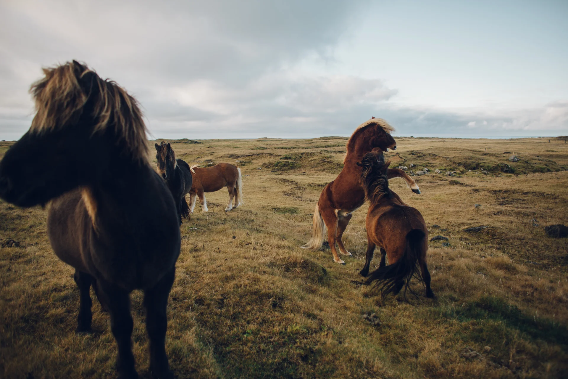 Daily Update - January 5th