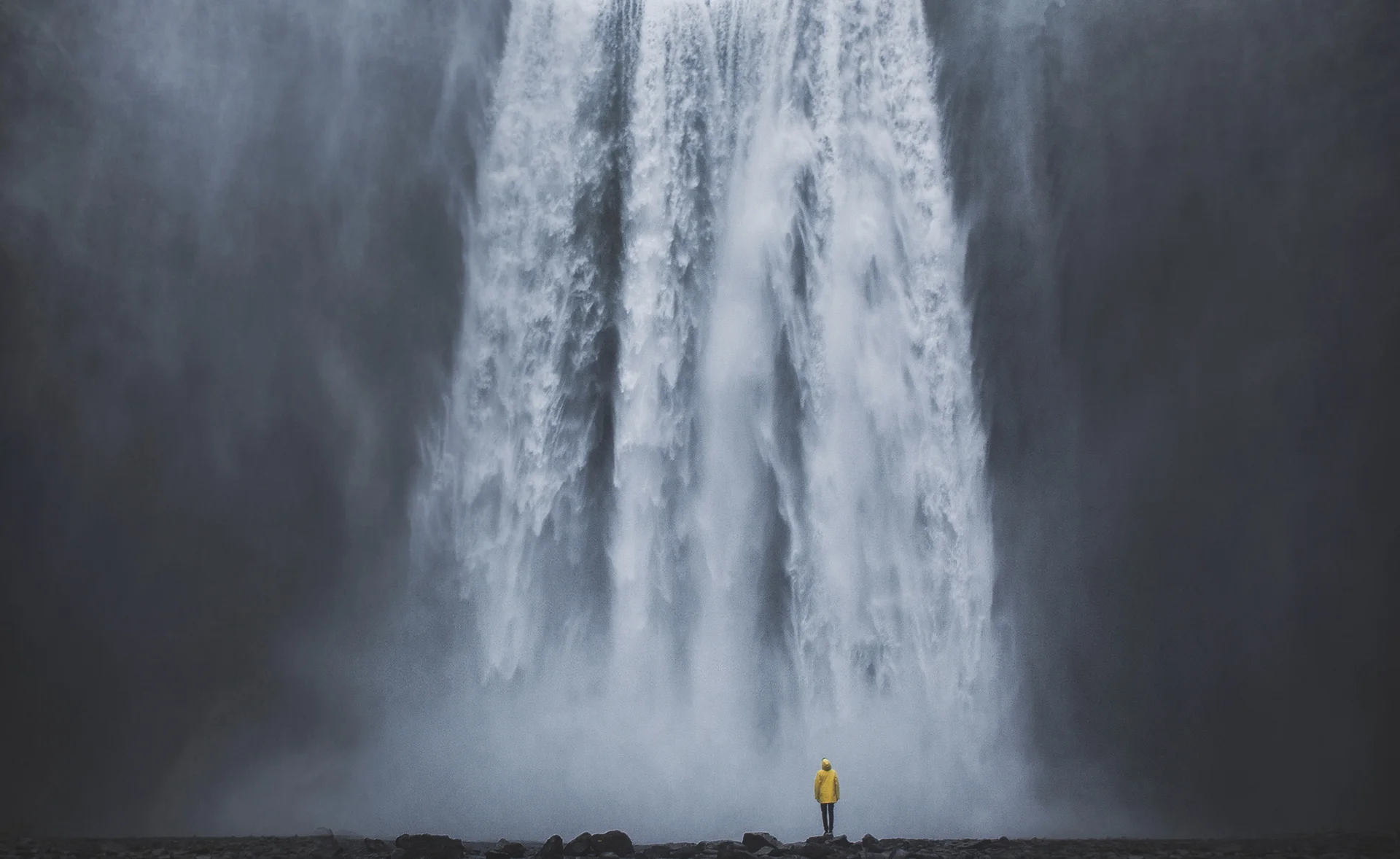 Daily Update - January 7th