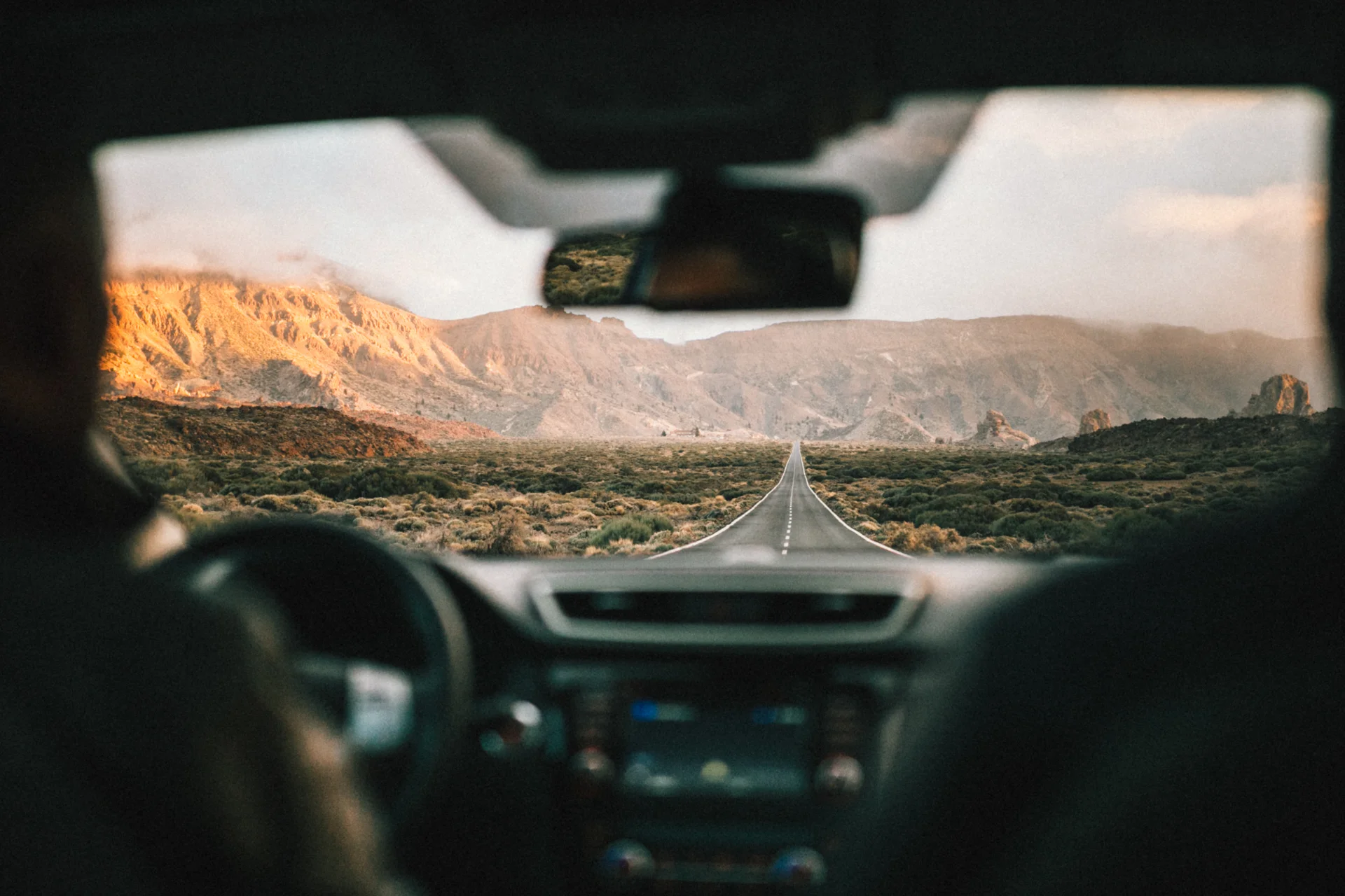 Daily Update - January 20th