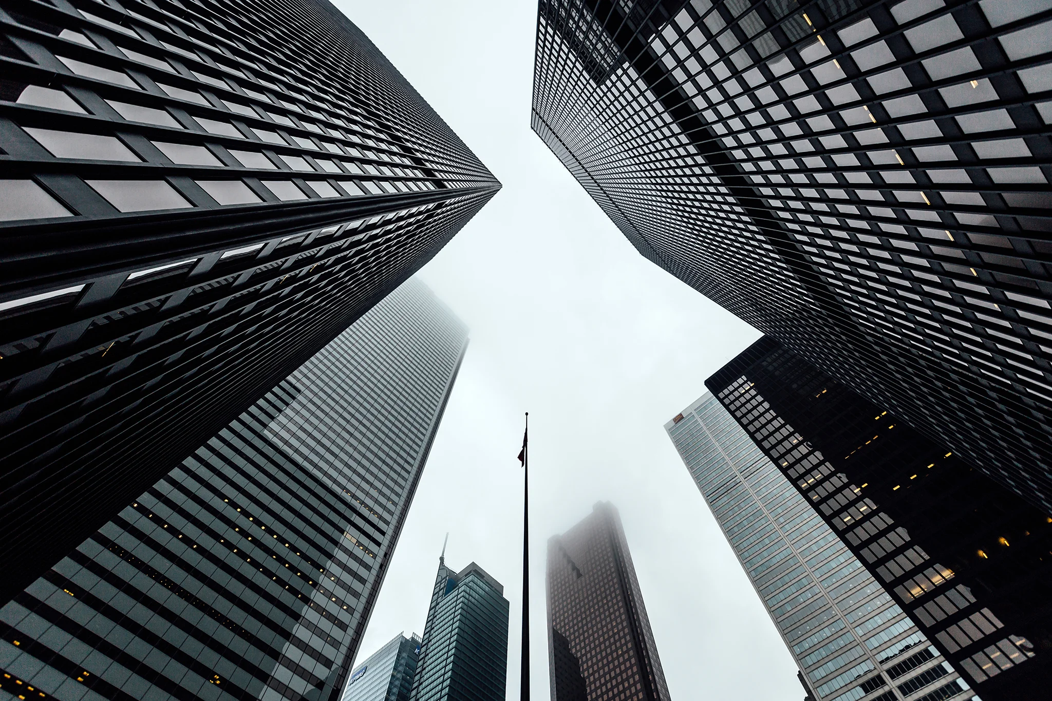 Daily Update - January 27th