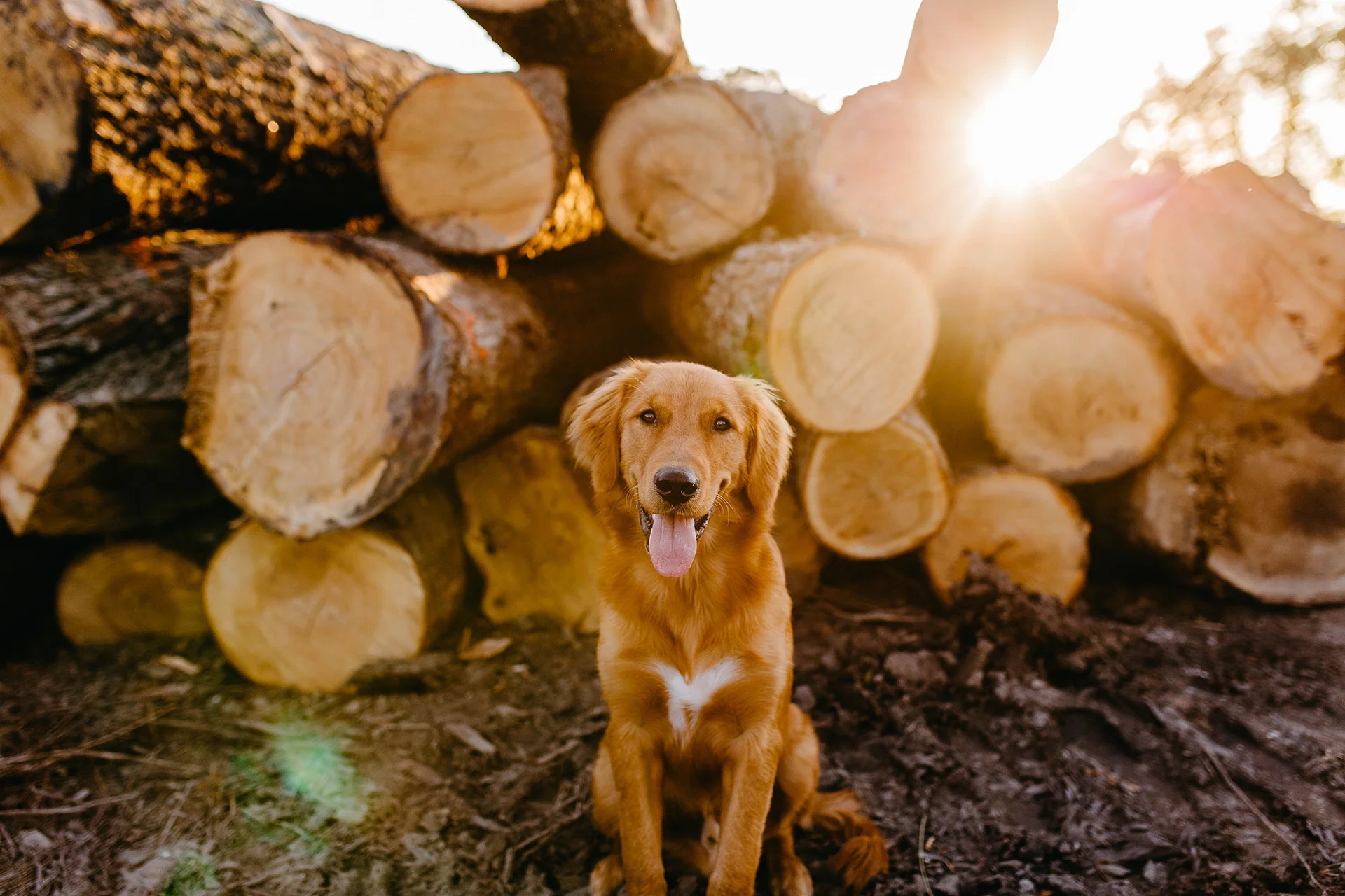 Daily Upadte - January 29th